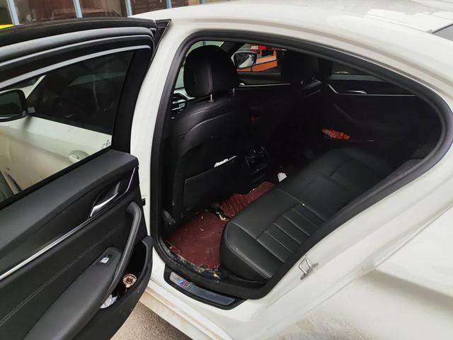 BMW 5 Series 2021 car image #8