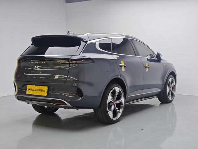 Denza 2021 imagem de carro #8