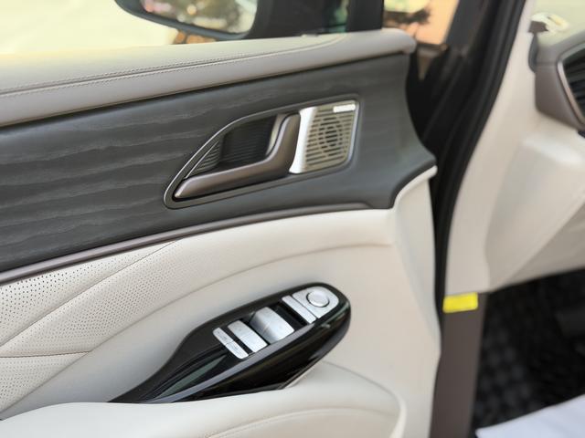 Denza D9 2023 imagem de carro #8