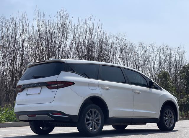 睿蓝汽车 枫叶80v 2020 汽车图片 #8