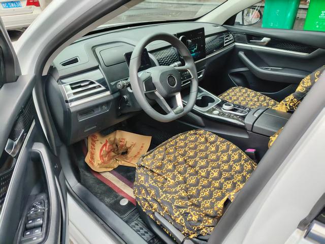 BYD Qin Plus 2022 imagem de carro #8