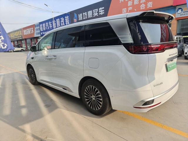 Denza D9 2024 изображение автомобиля #8