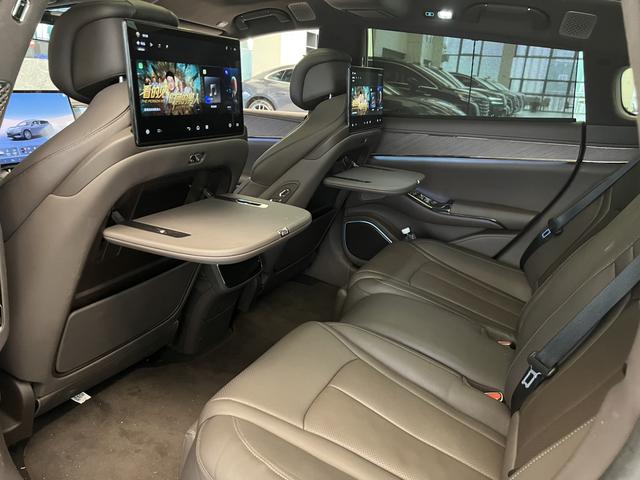 Denza 2024 immagine di auto #8