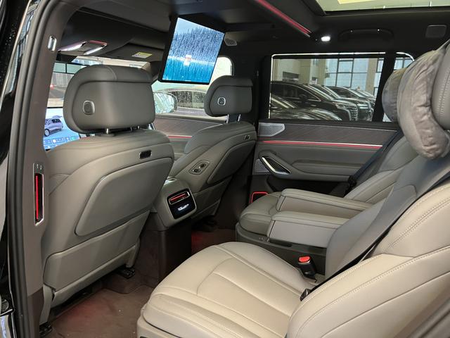 Denza 2025 imagem de carro #8