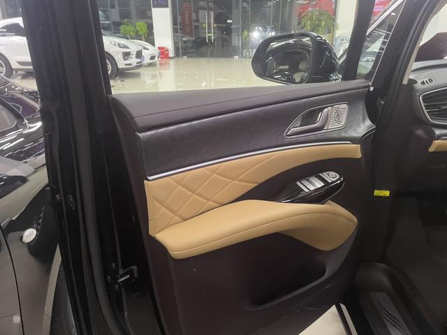 Denza D9 2025 imagem de carro #8