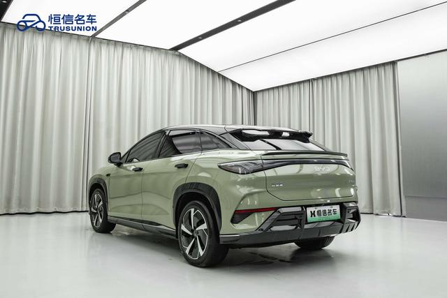 BYD Sea Lion 07 EV 2024 car image #8