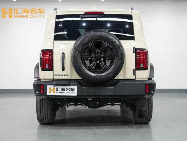 Tank 300 2025 immagine di auto #8