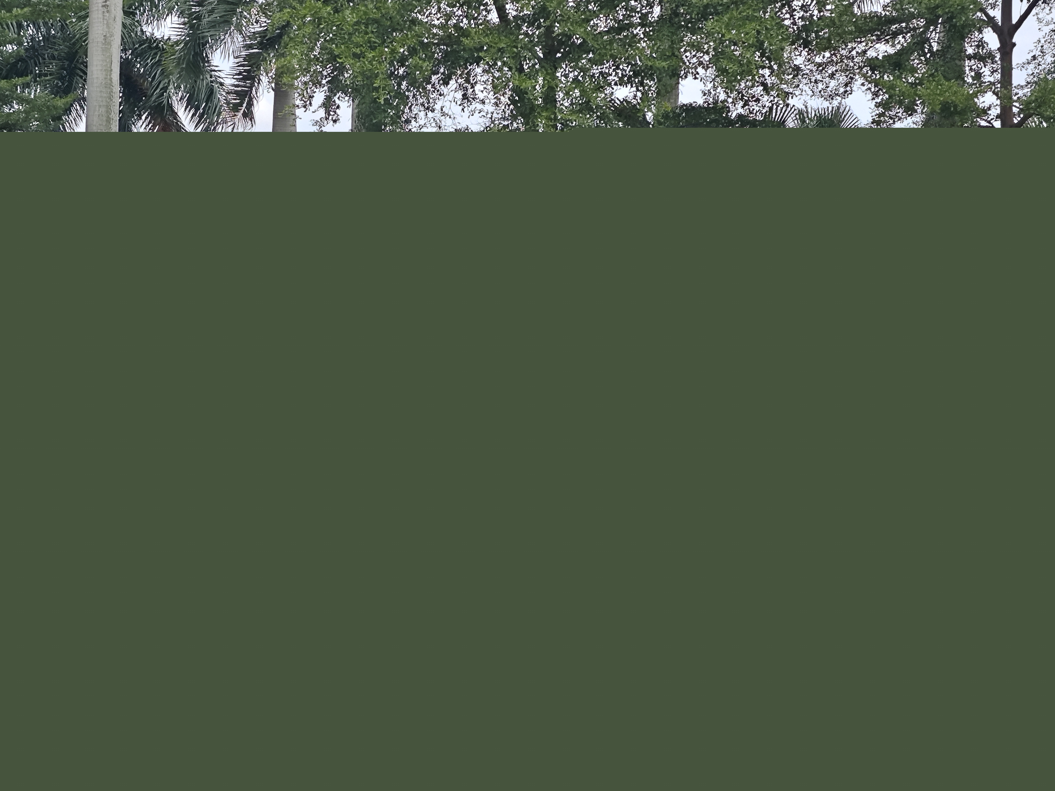 Honda Spirior 2015 #8 Honda Spirior 2015 car image #8