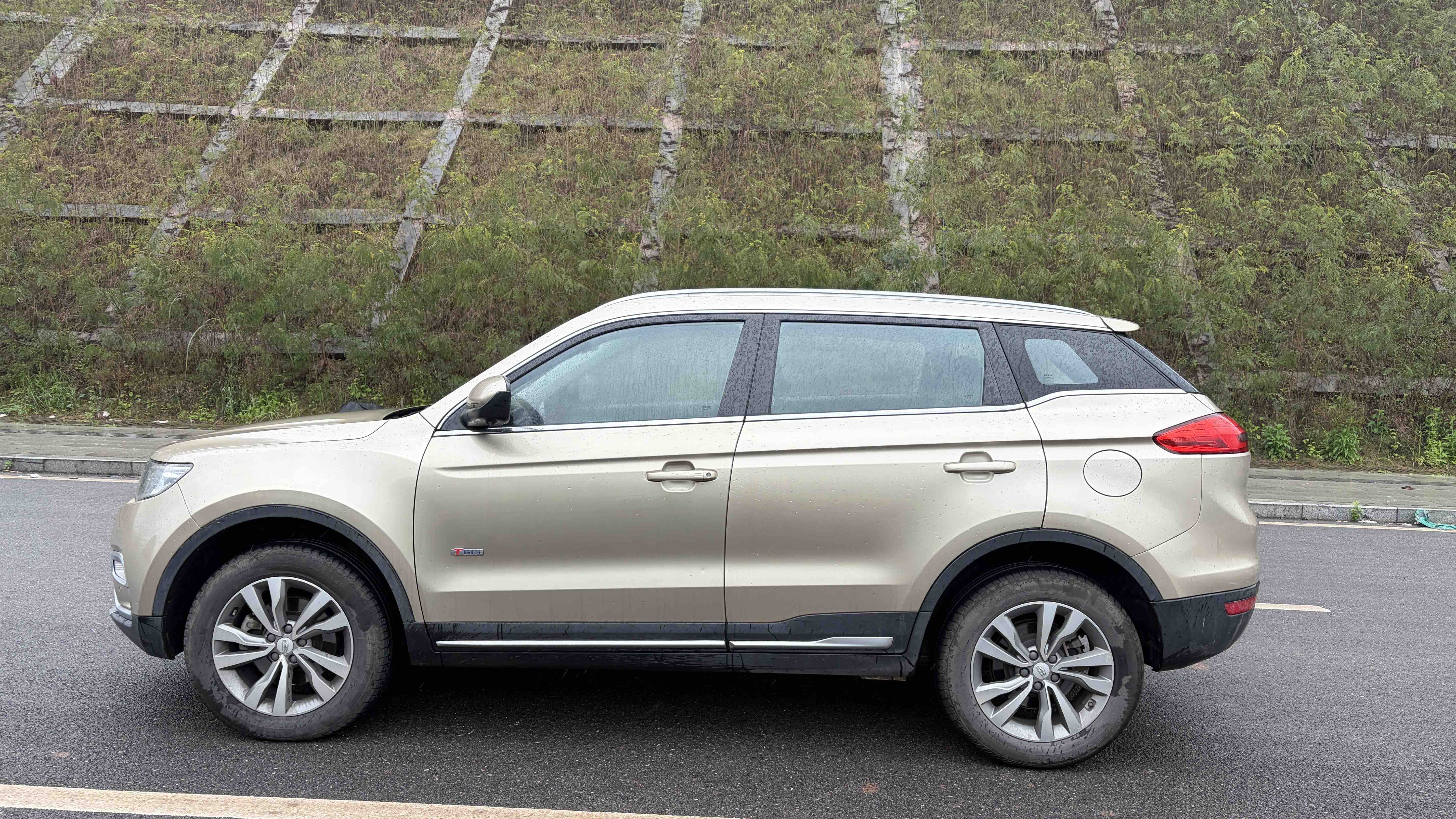 GEELY Boyue 2017 immagine di auto #8