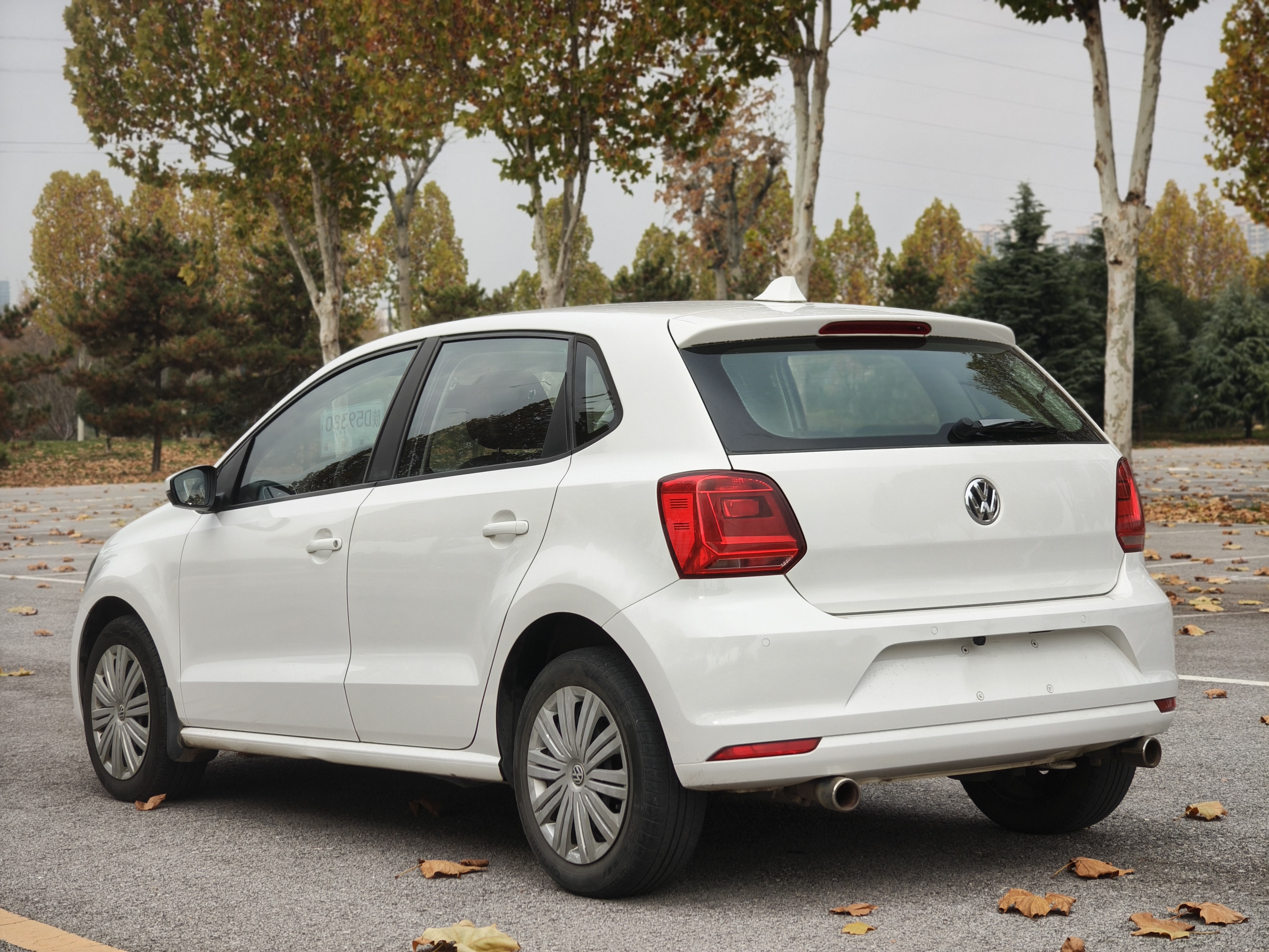 大众 Polo 2017 汽车图片 #8