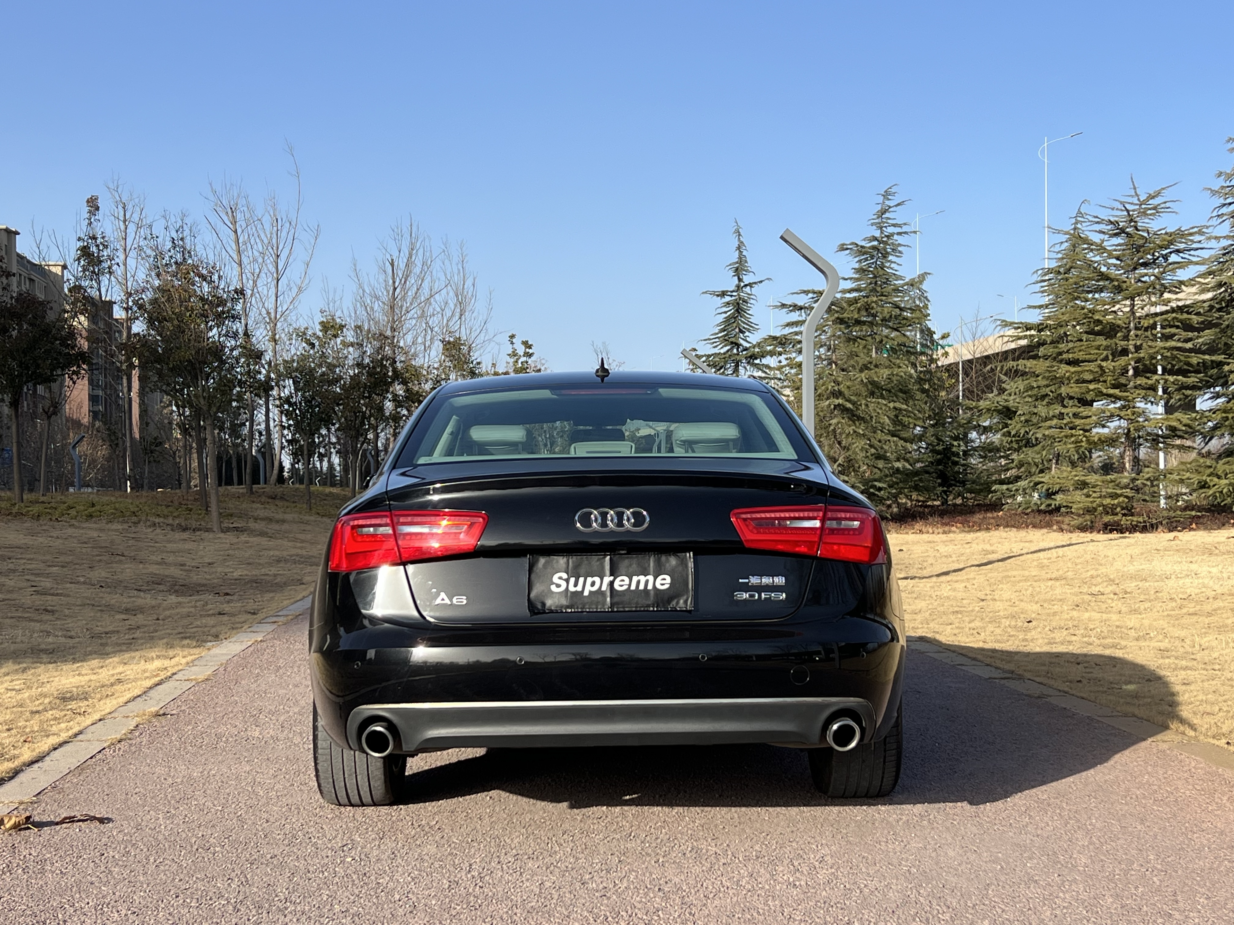 Audi A6L 2013 car image #8
