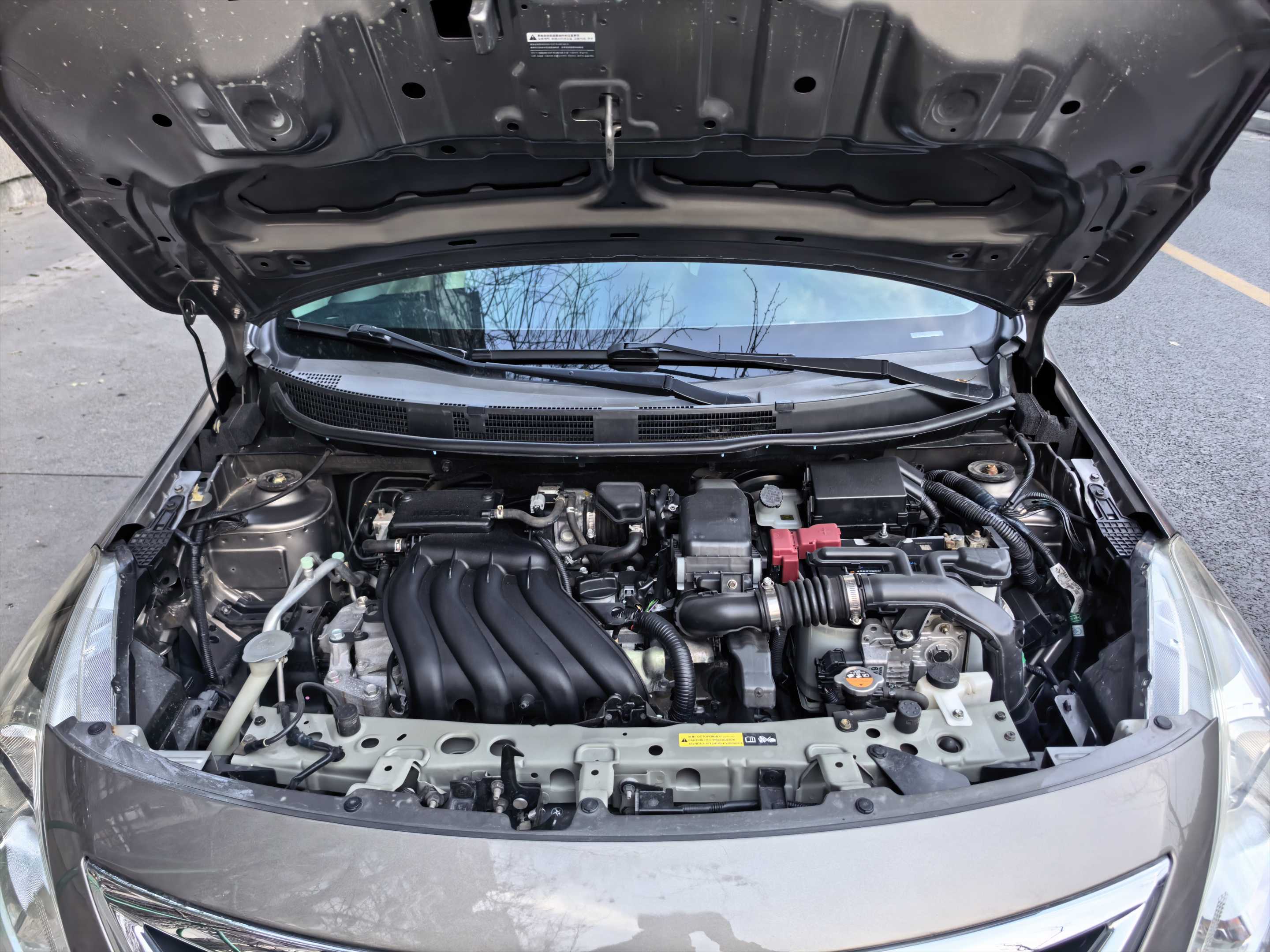 日产 阳光 2017 汽车图片 #8