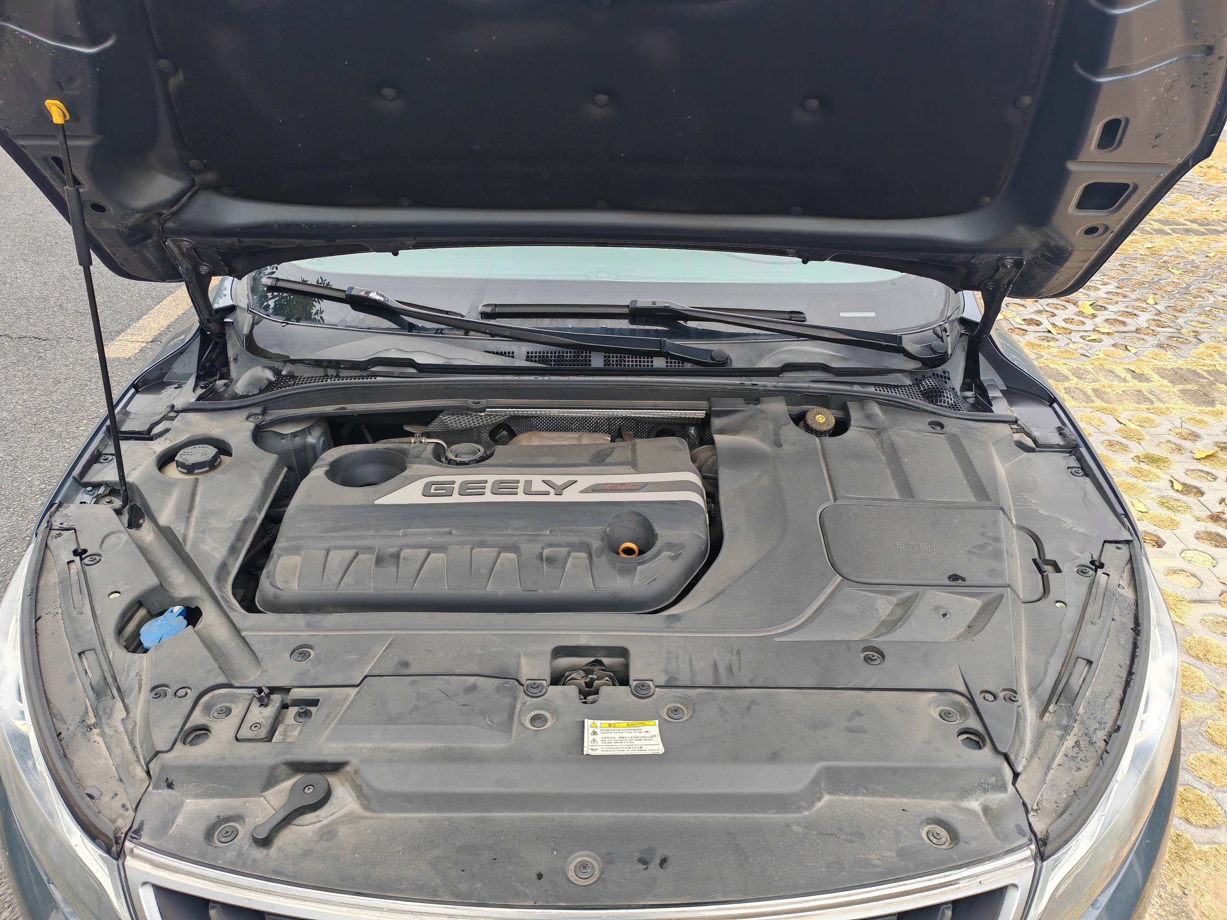Emgrand GL 2017 #8 Emgrand GL 2017 car image #8