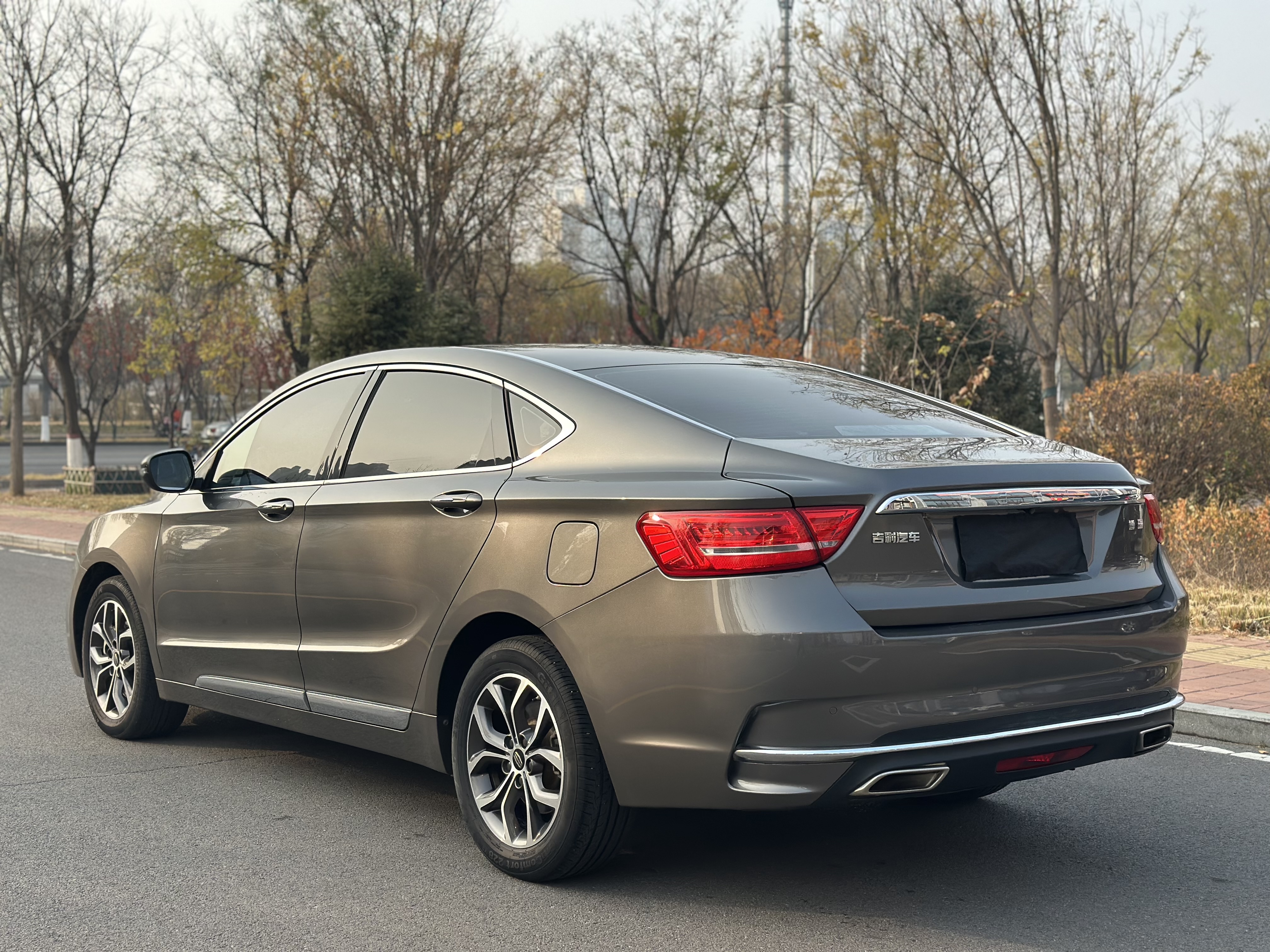 GEELY Ulion 2017 immagine di auto #8