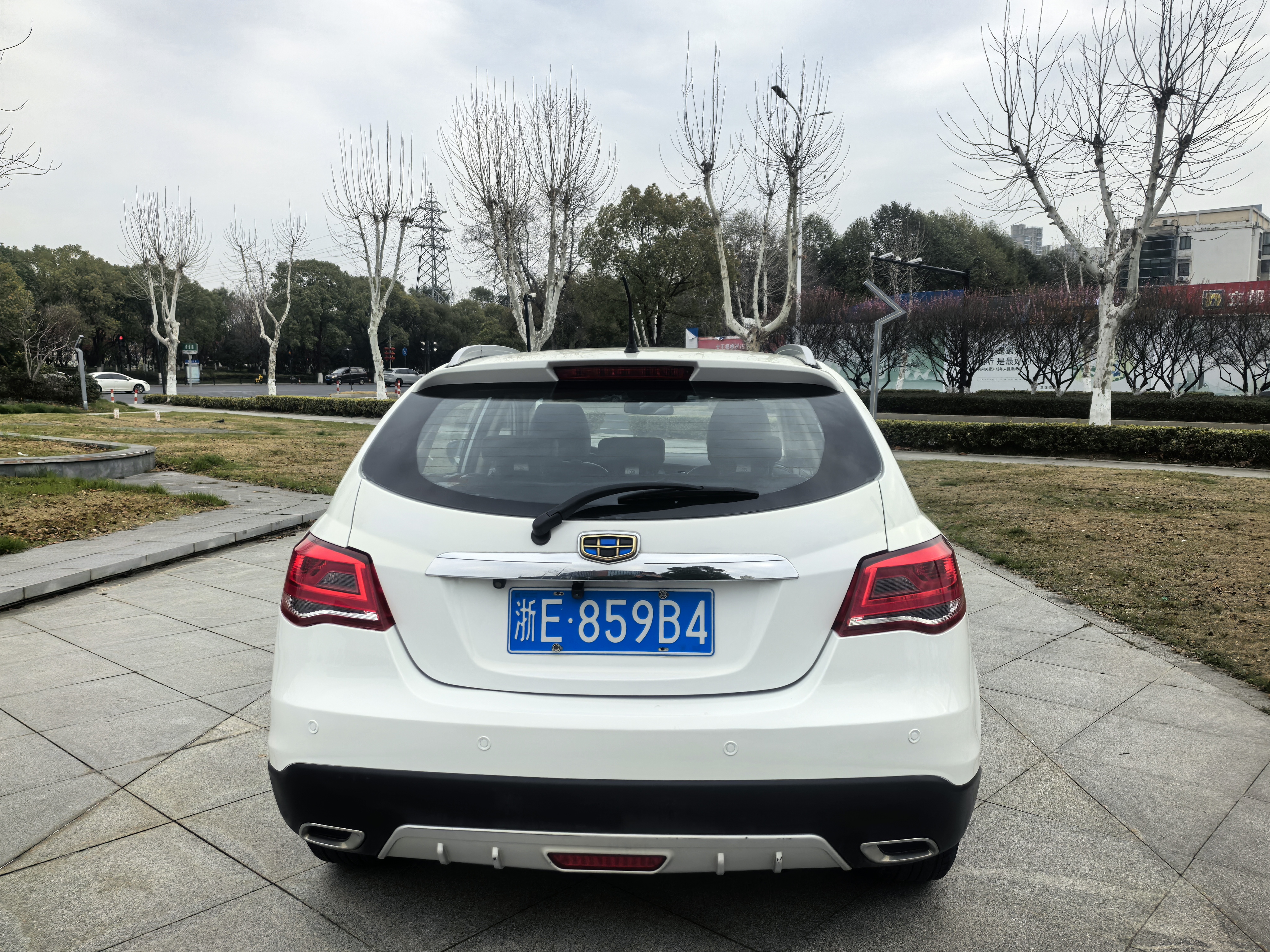 Emgrand 2017 #8 Emgrand 2017 car image #8