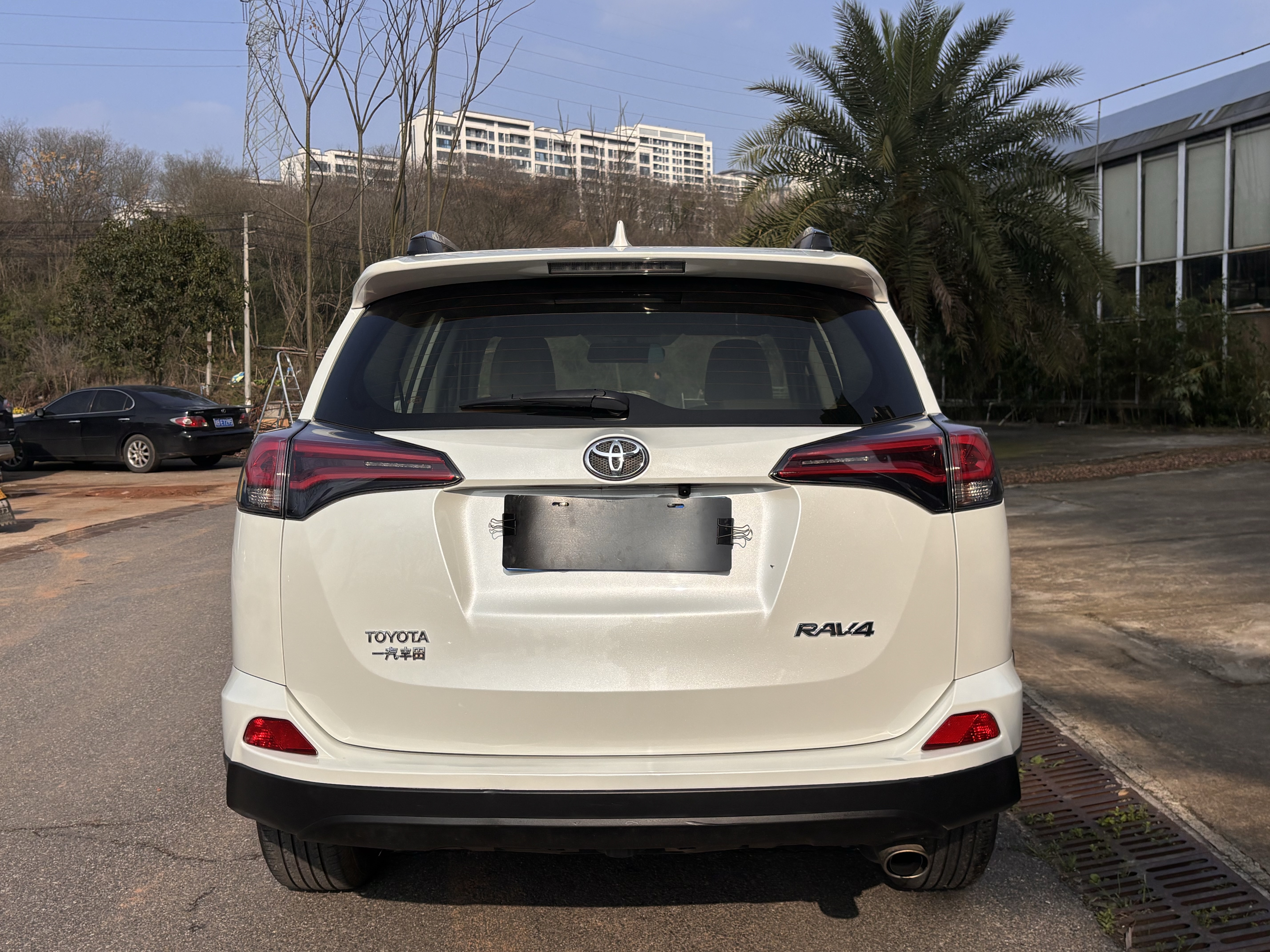 Toyota RAV4 2018 car image #8