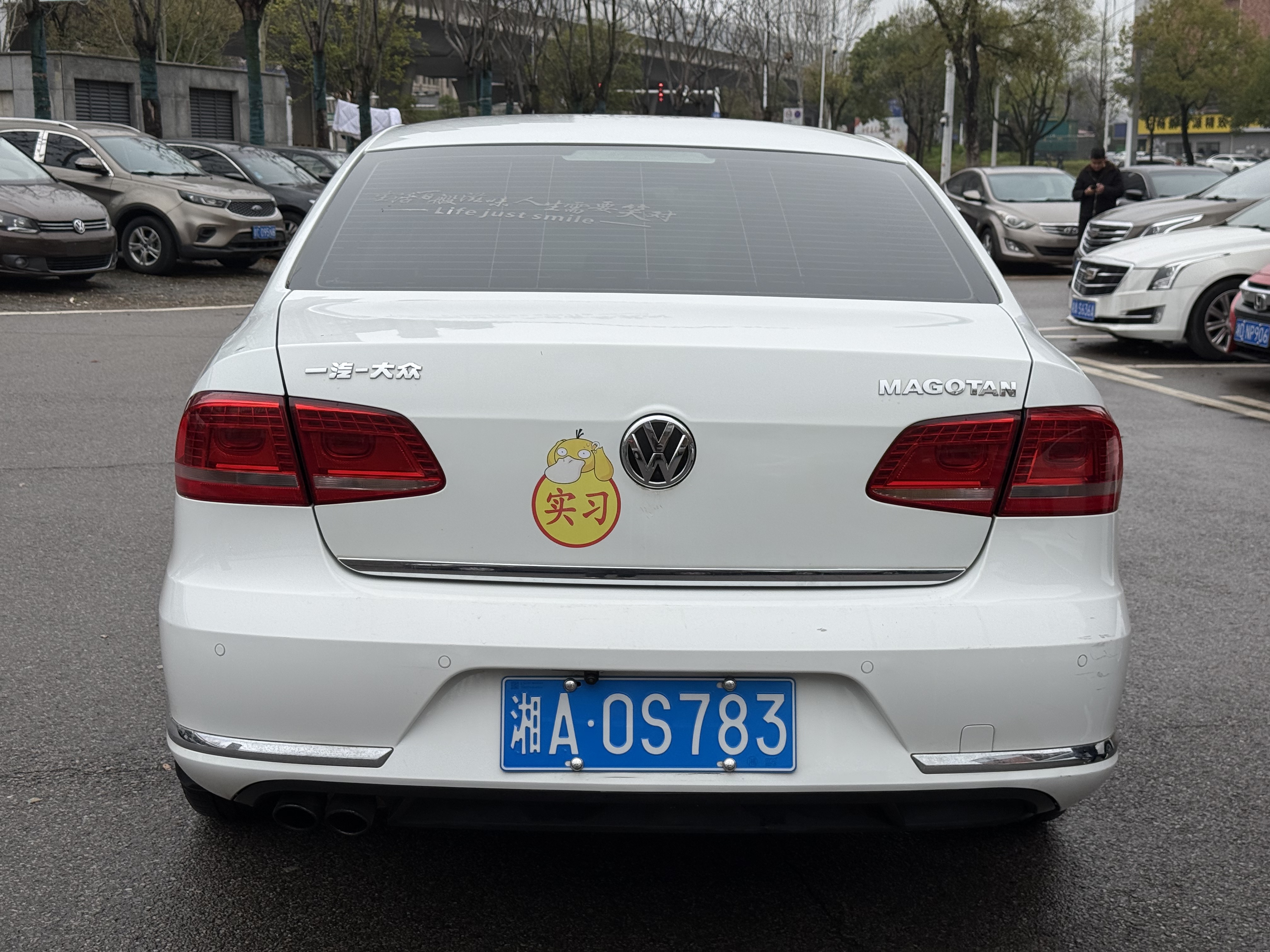 Volkswagen Magotan 2014 car image #8