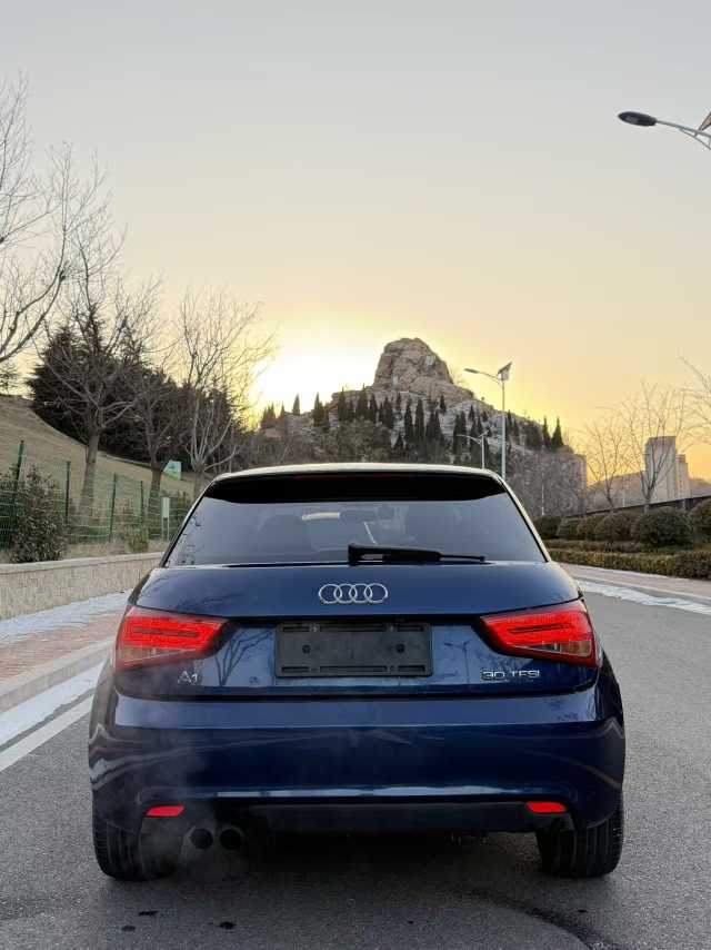 奥迪 奥迪A1 2016 汽车图片 #8