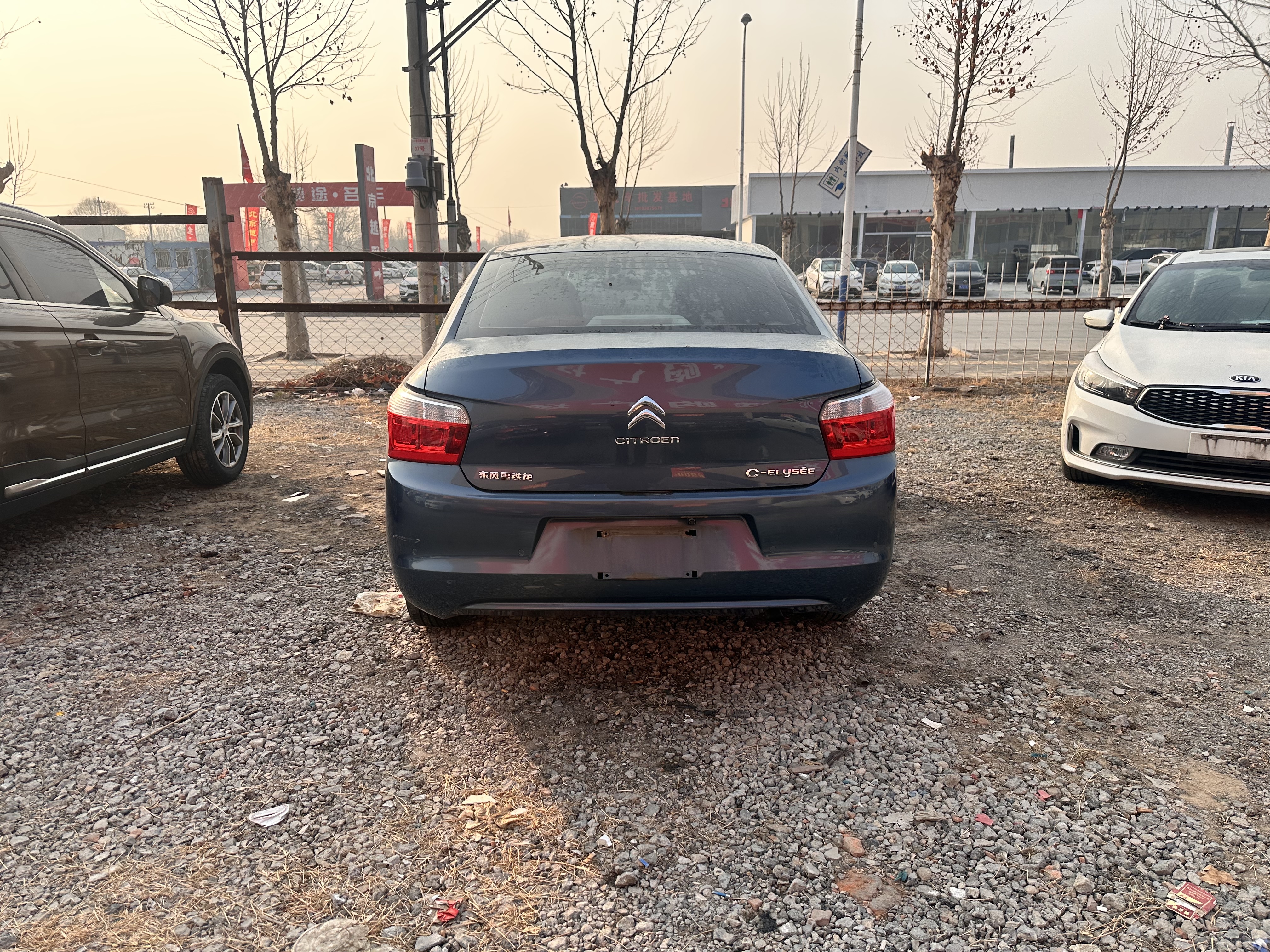 Citroen C-Elysée 2014 car image #8