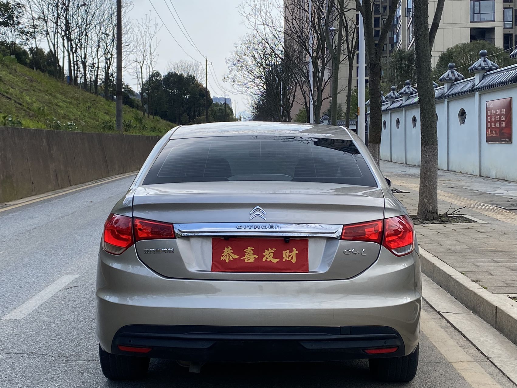 Citroen C4L 2014 immagine di auto #8