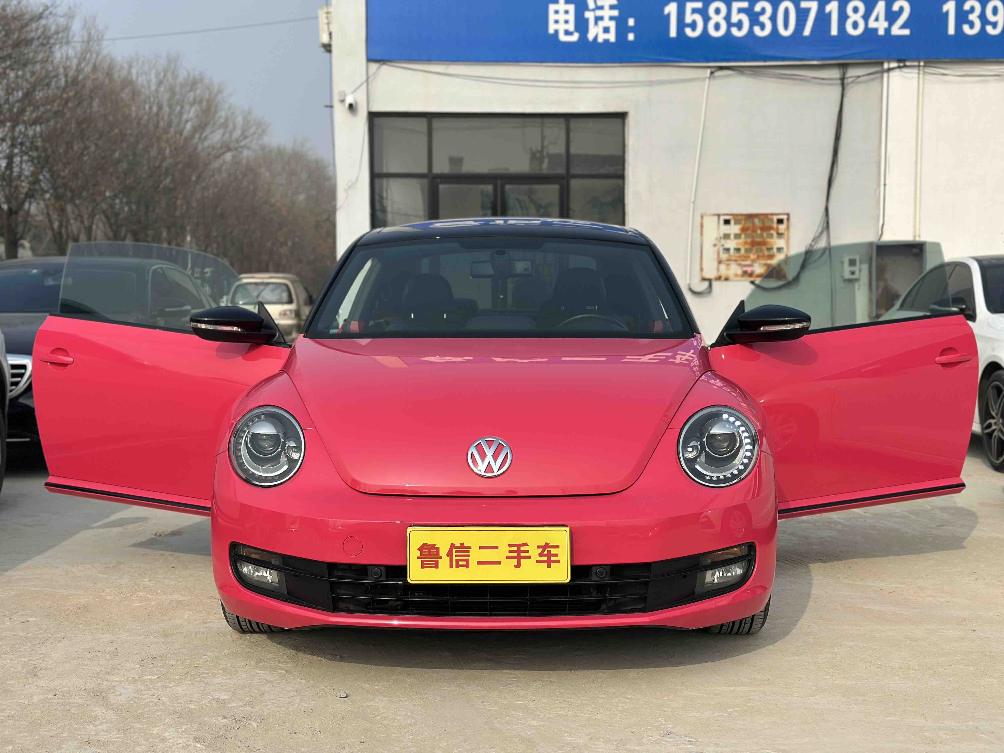 Volkswagen Beetle 2014 immagine di auto #8