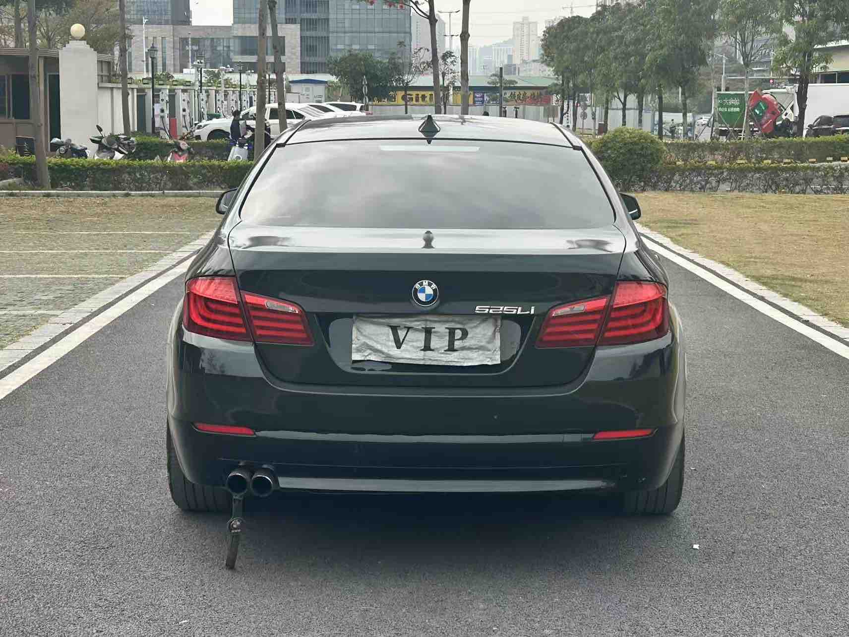 BMW 5 Series 2013 car image #8