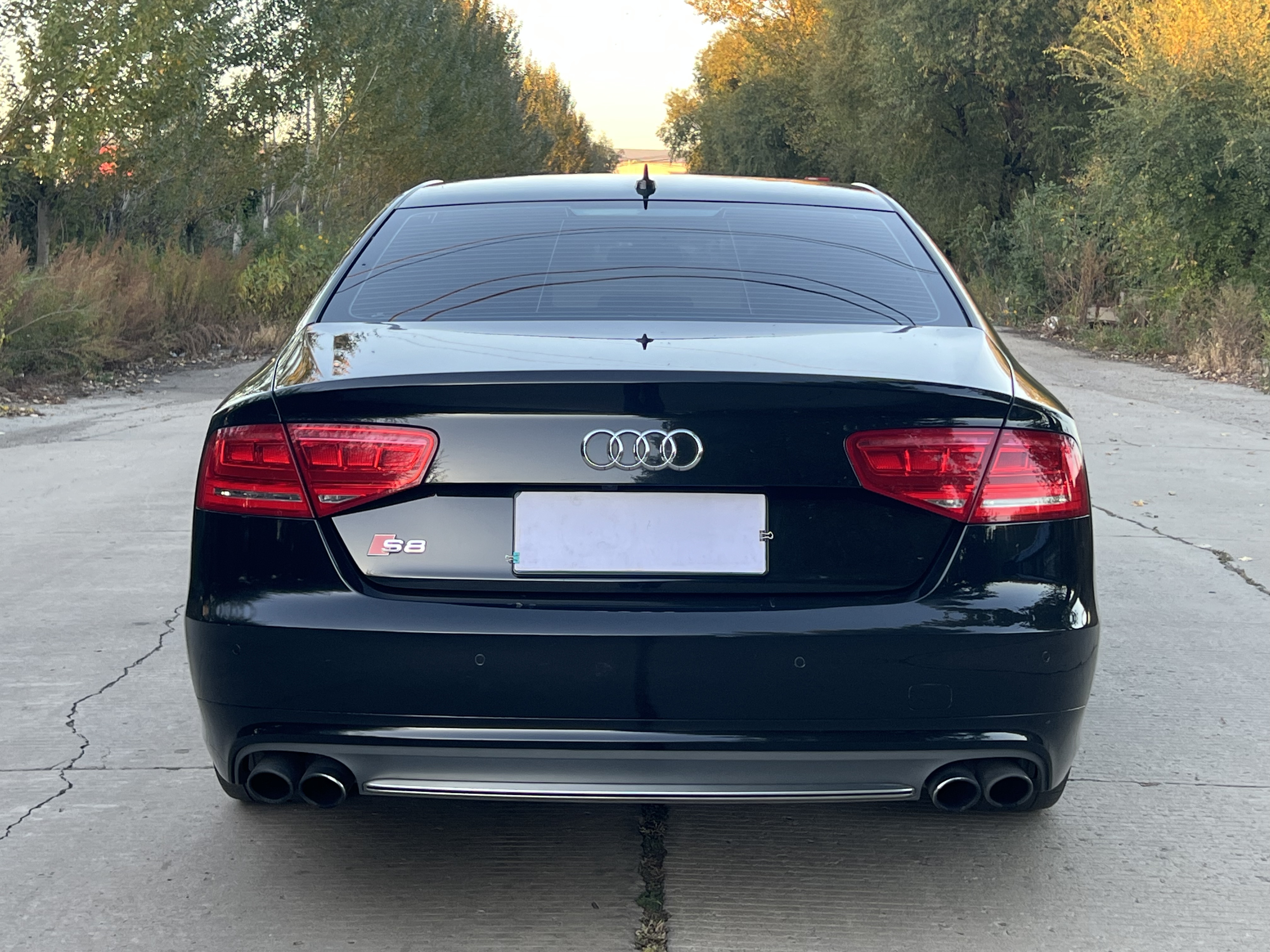 Audi S8 2013 car image #8