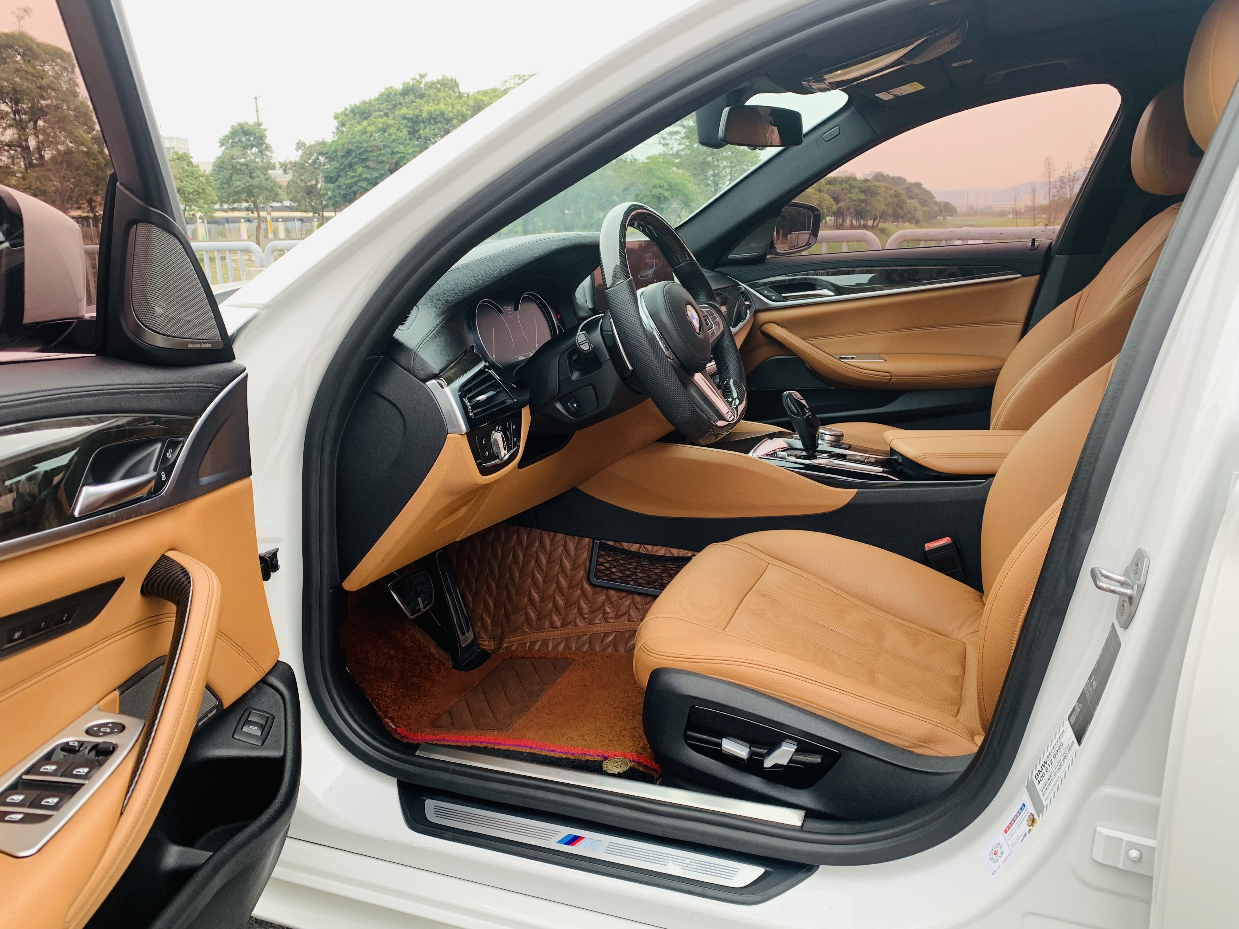 BMW 5 Series 2018 #8 BMW 5 Series 2018 car image #8