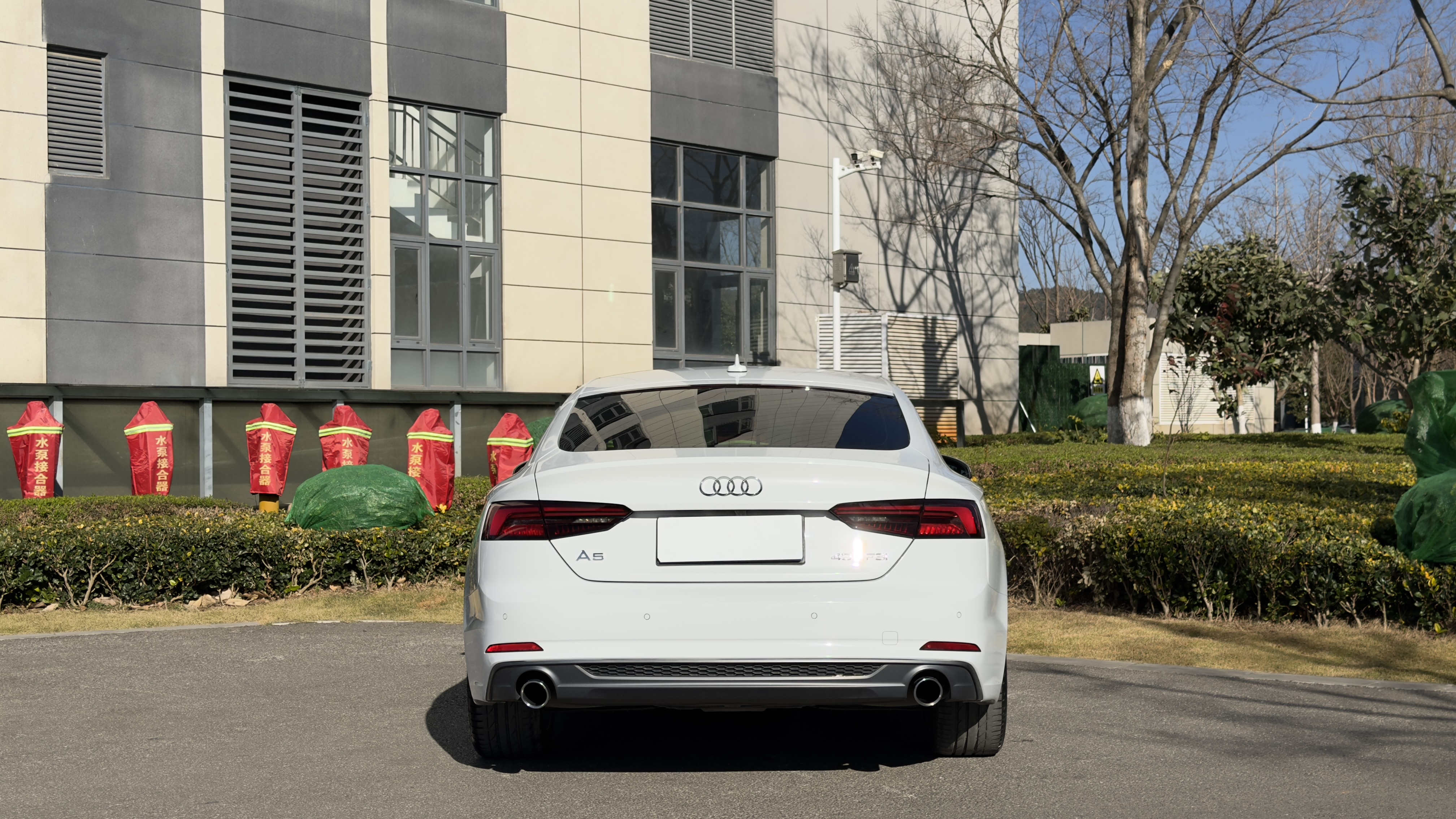 Audi A5 (Imported) 2018 car image #8