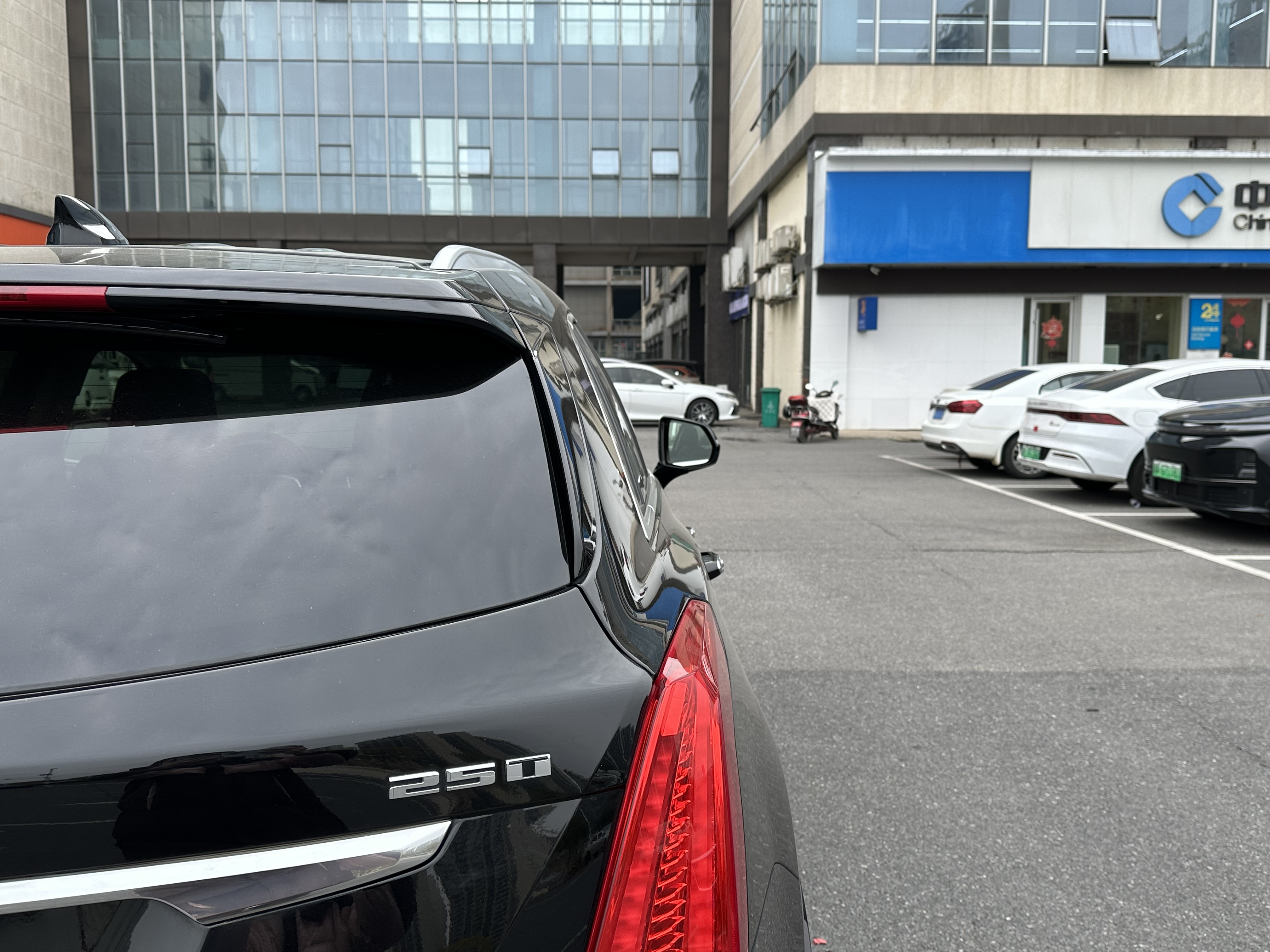 2019 #8 2019 car image #8