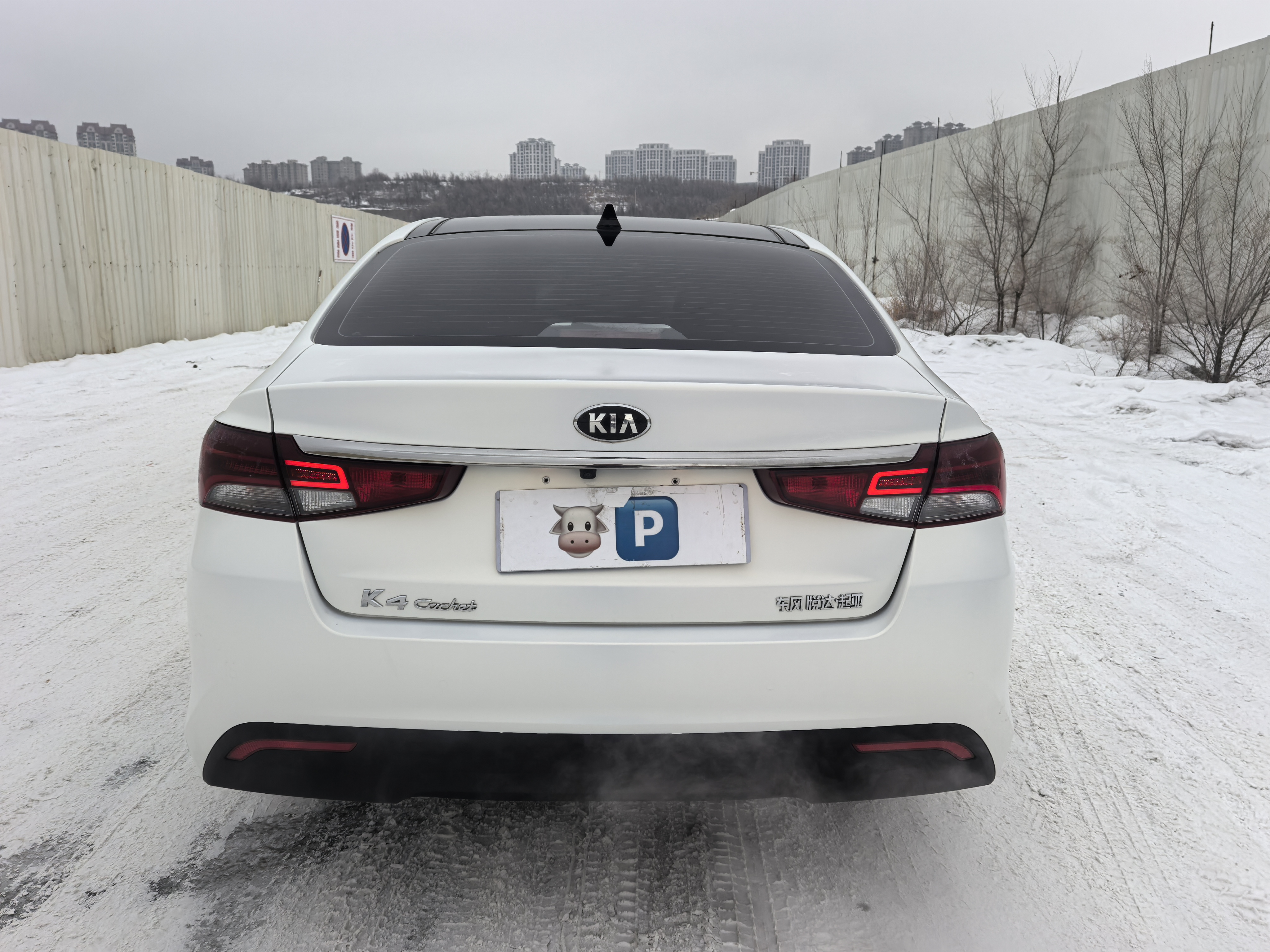 起亚 凯绅 2020 汽车图片 #8