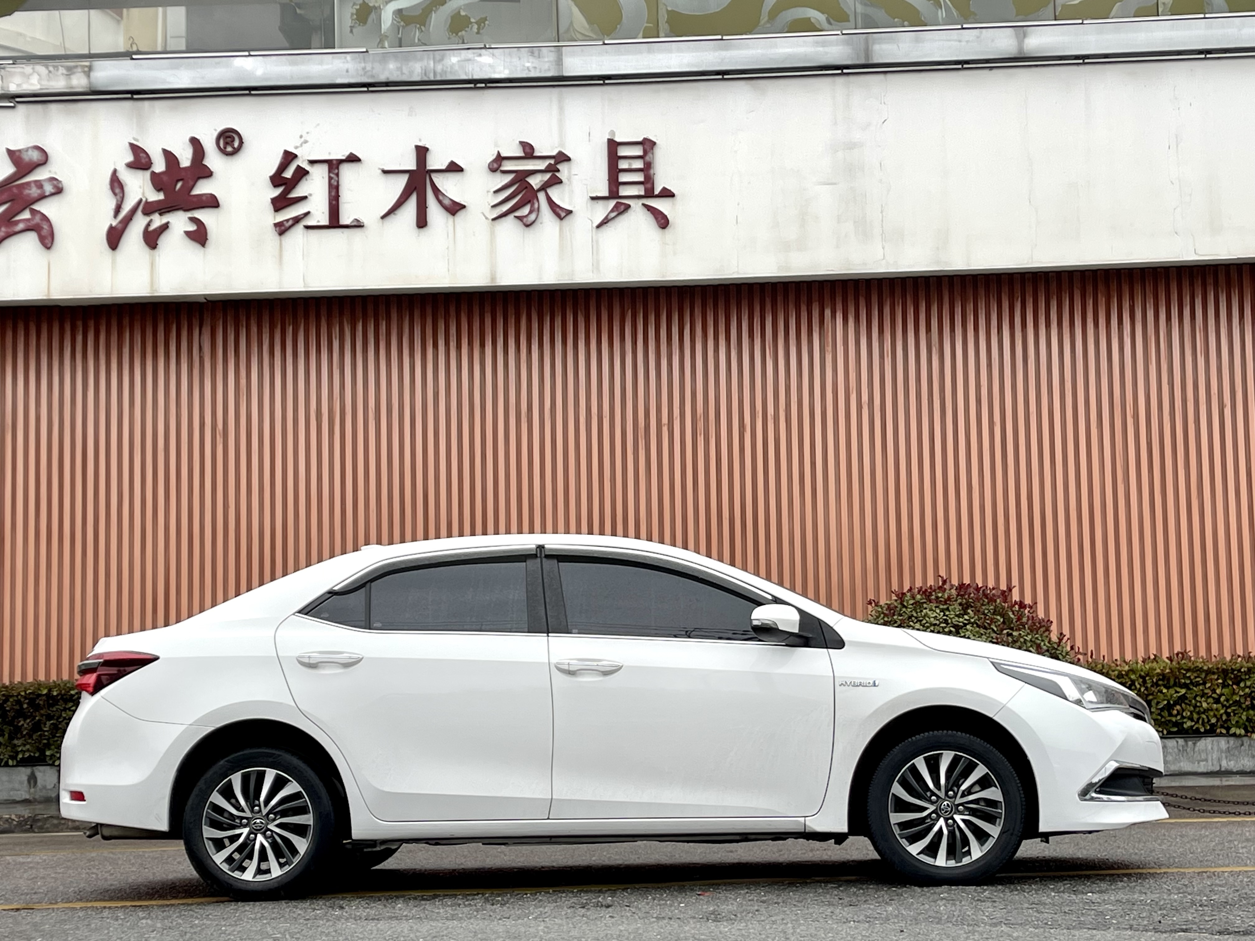 Toyota Corolla 2019 #8 Toyota Corolla 2019 car image #8
