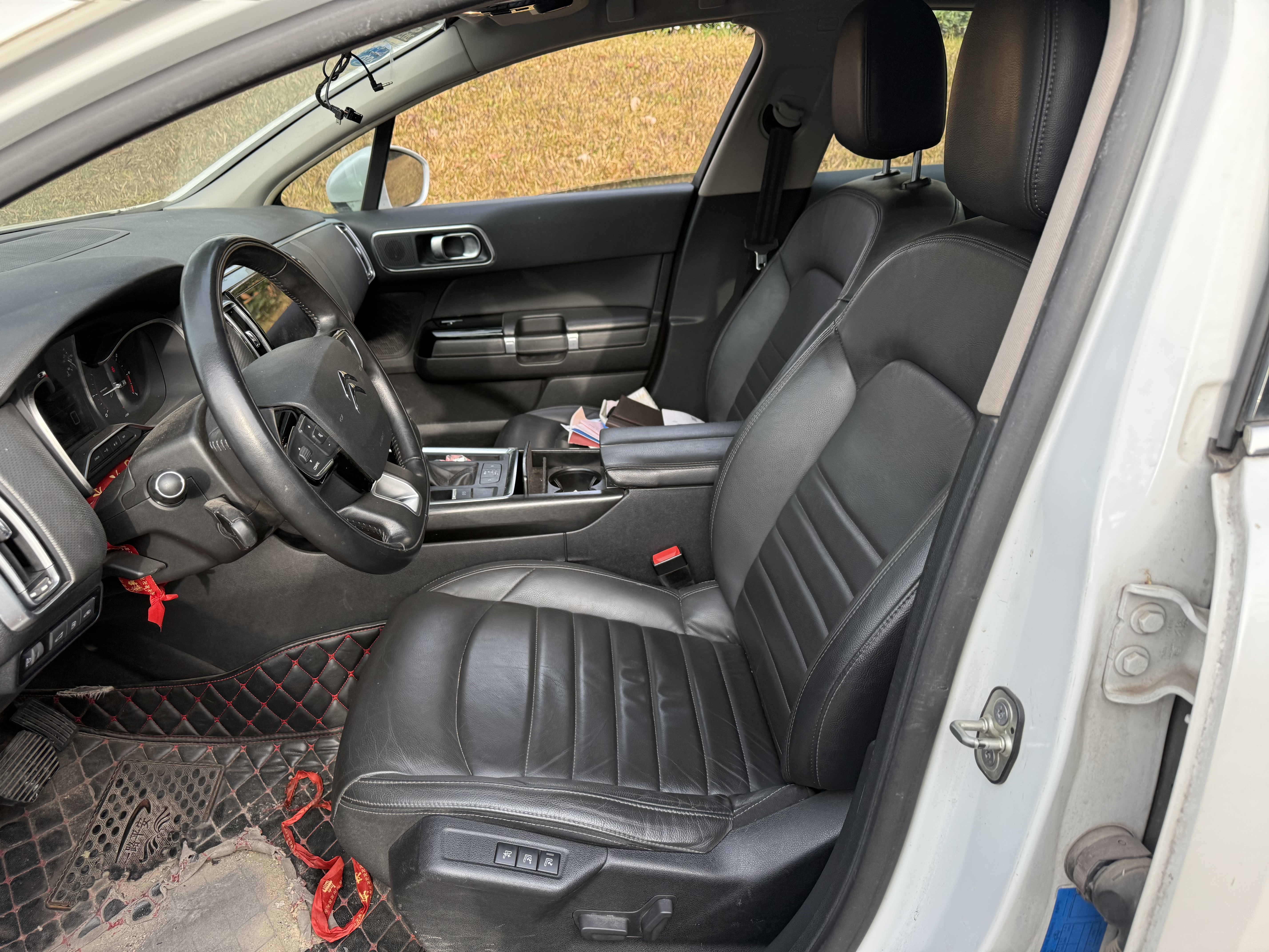 Citroen C6 2017 car image #8