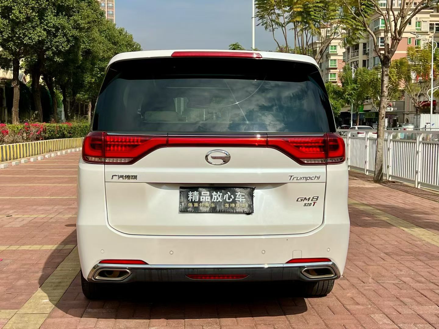 GAC Trumpchi M8 2019 car image #8