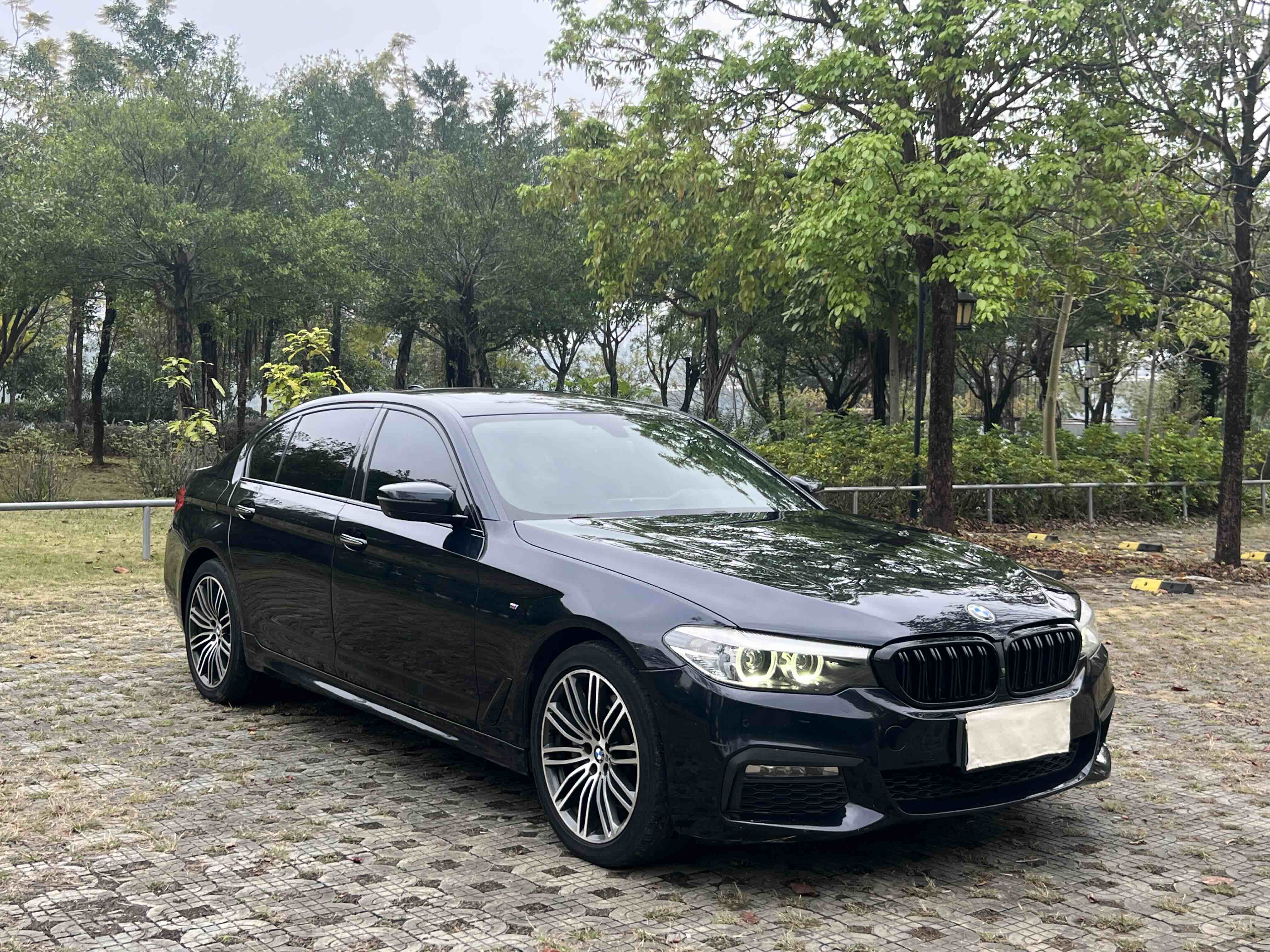 BMW 5 Series 2017 car image #8