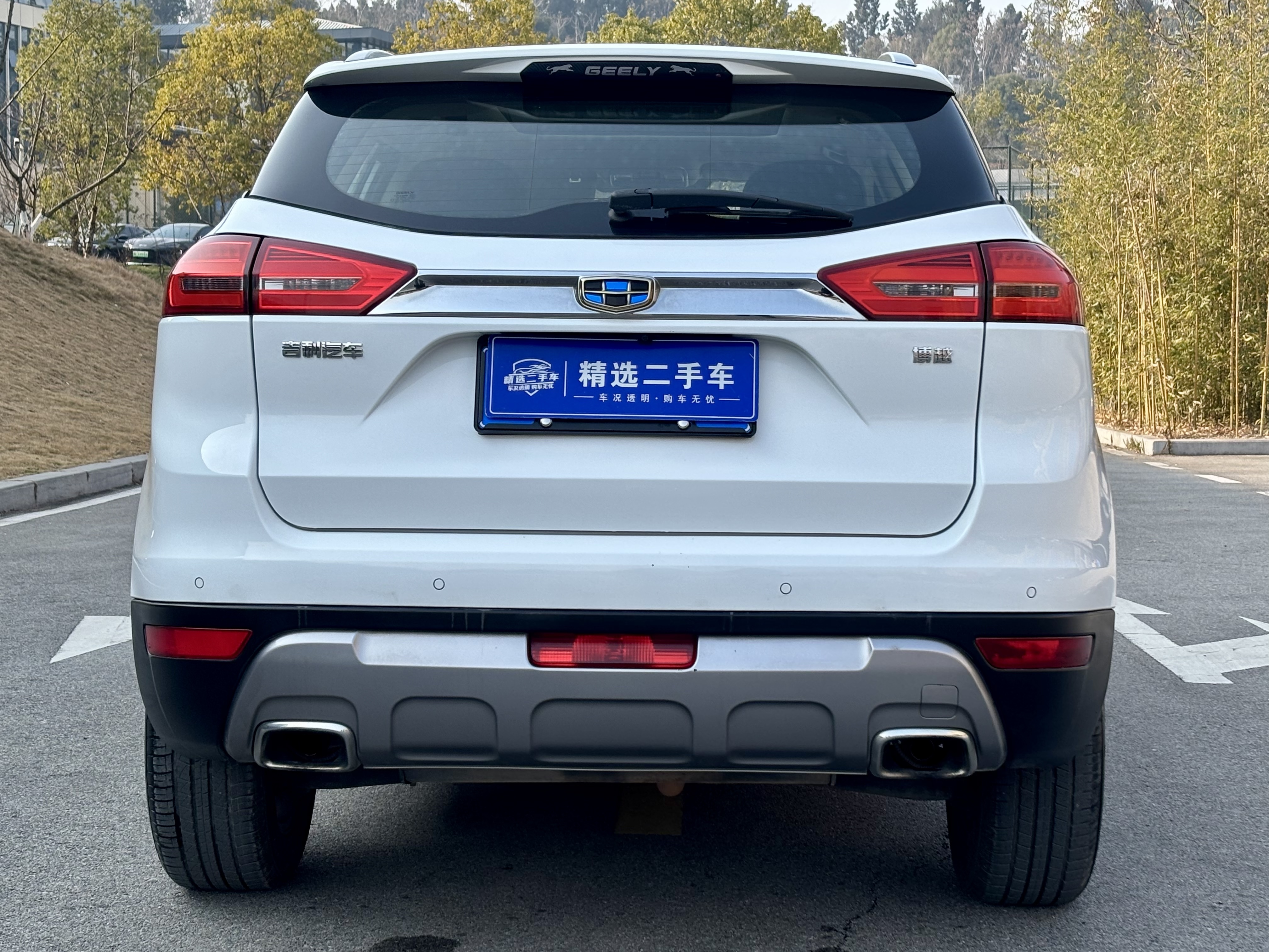GEELY Boyue 2017 #8 GEELY Boyue 2017 immagine di auto #8