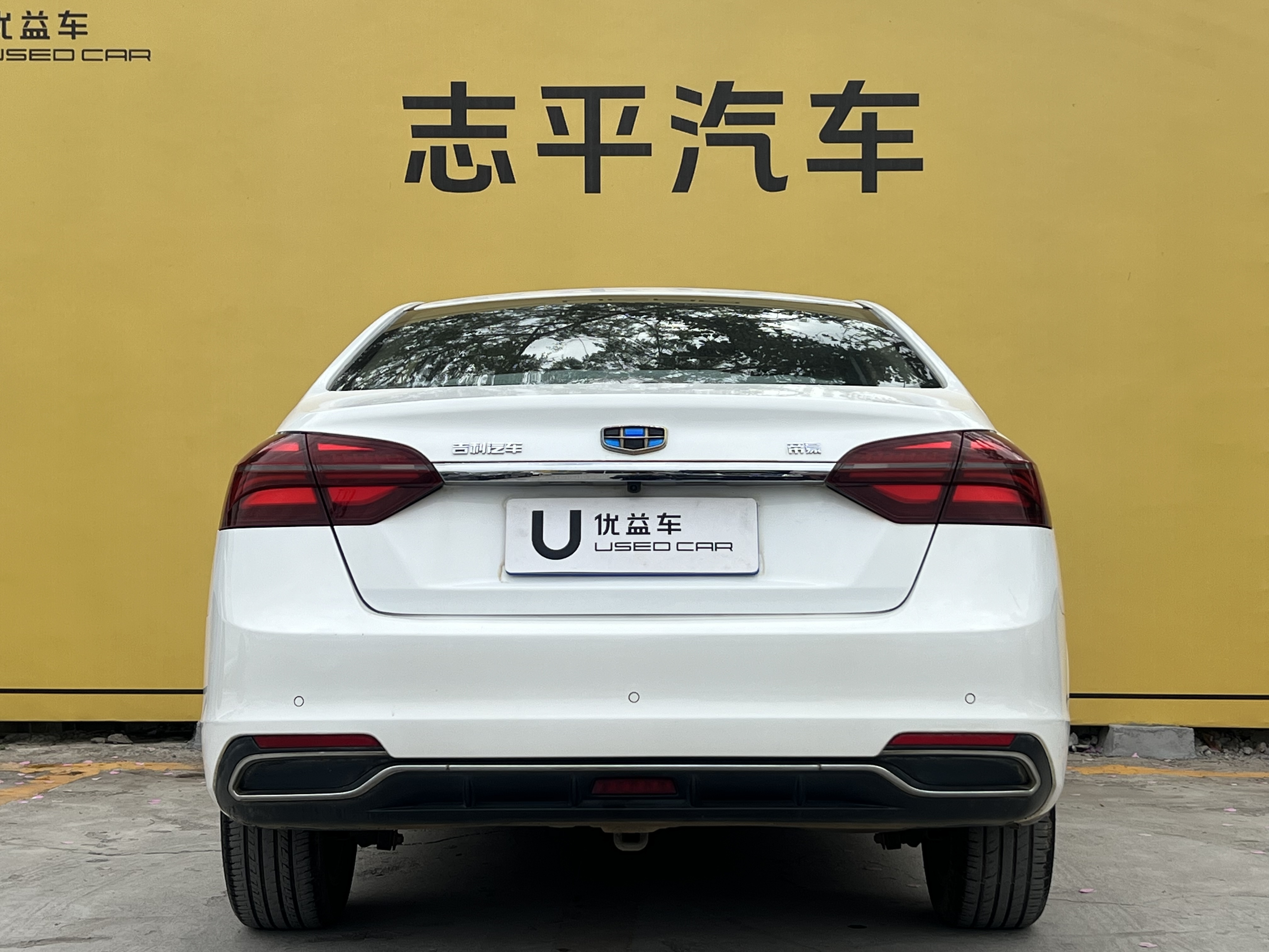 GEELY Emgrand 2018 car image #8