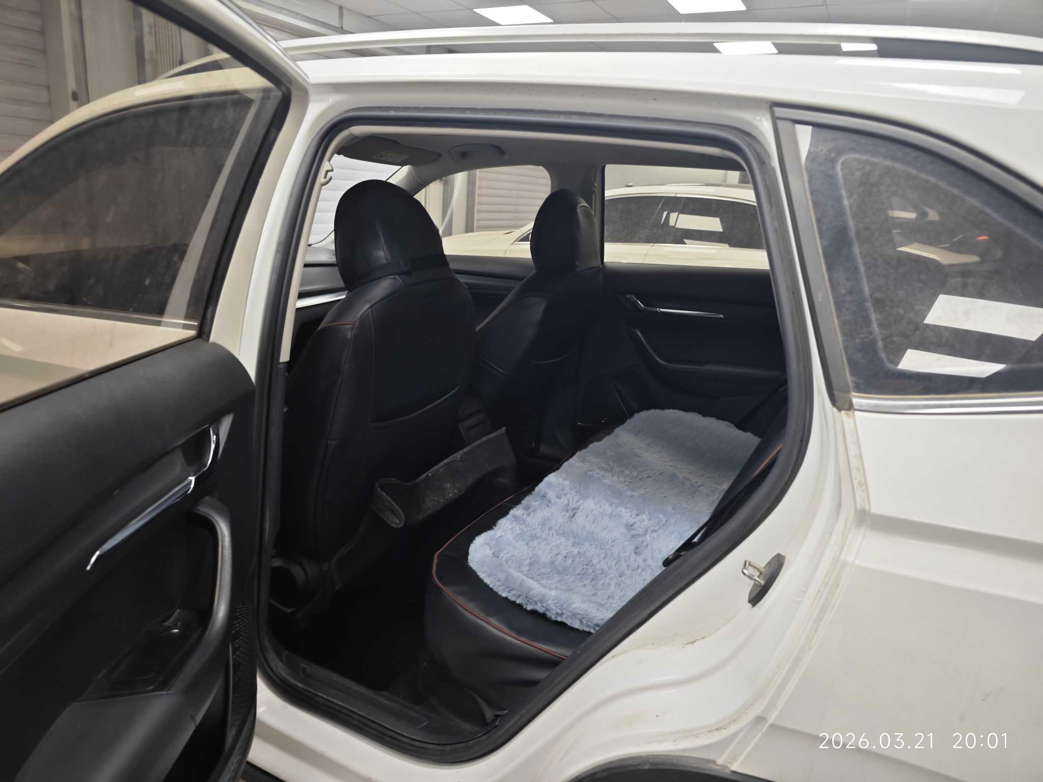 Skoda Kamiq 2019 image de voiture #8