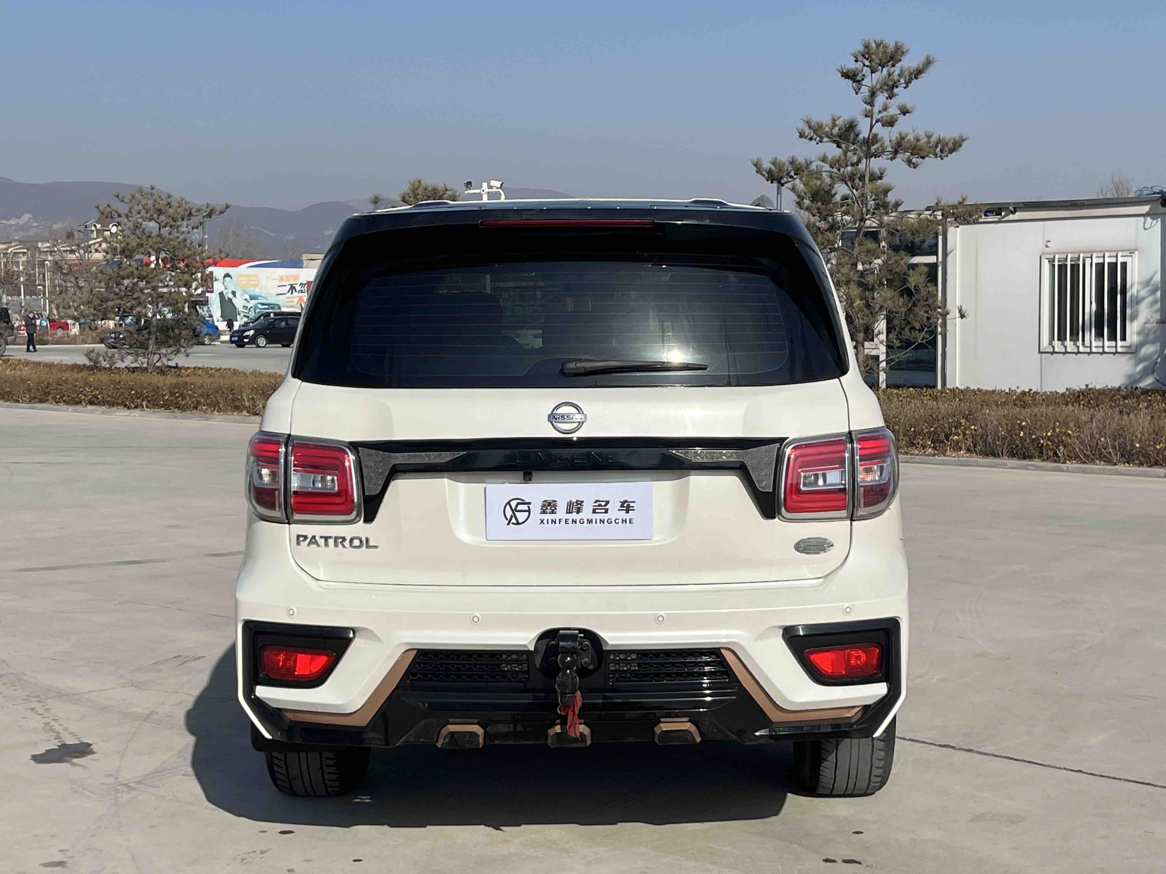 Nissan 2019 #8 Nissan 2019 car image #8