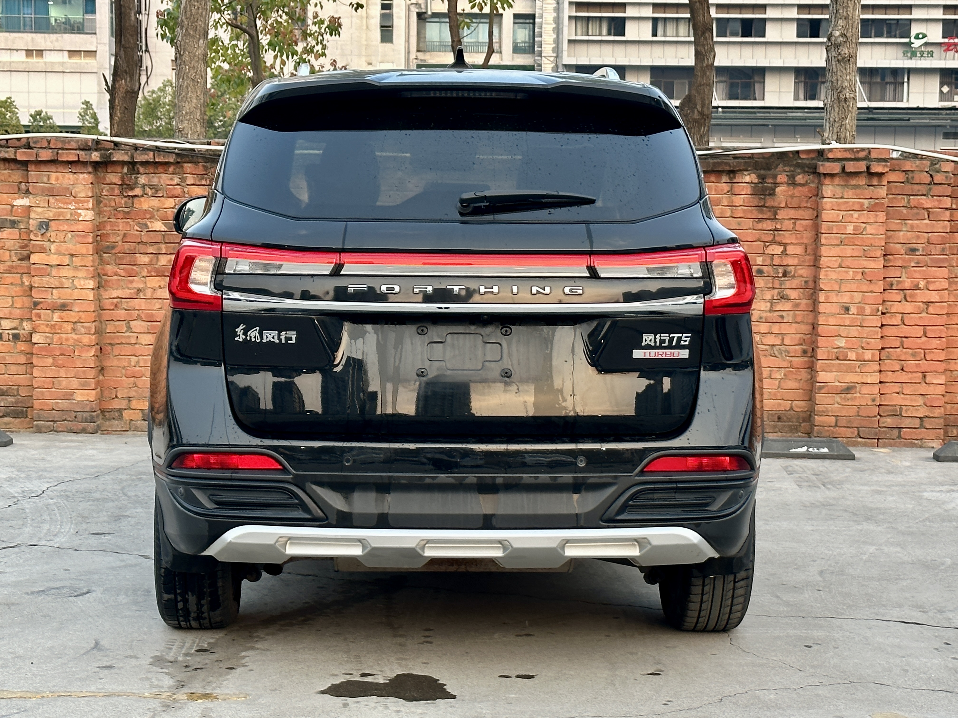 T5 2019 #8 T5 2019 car image #8