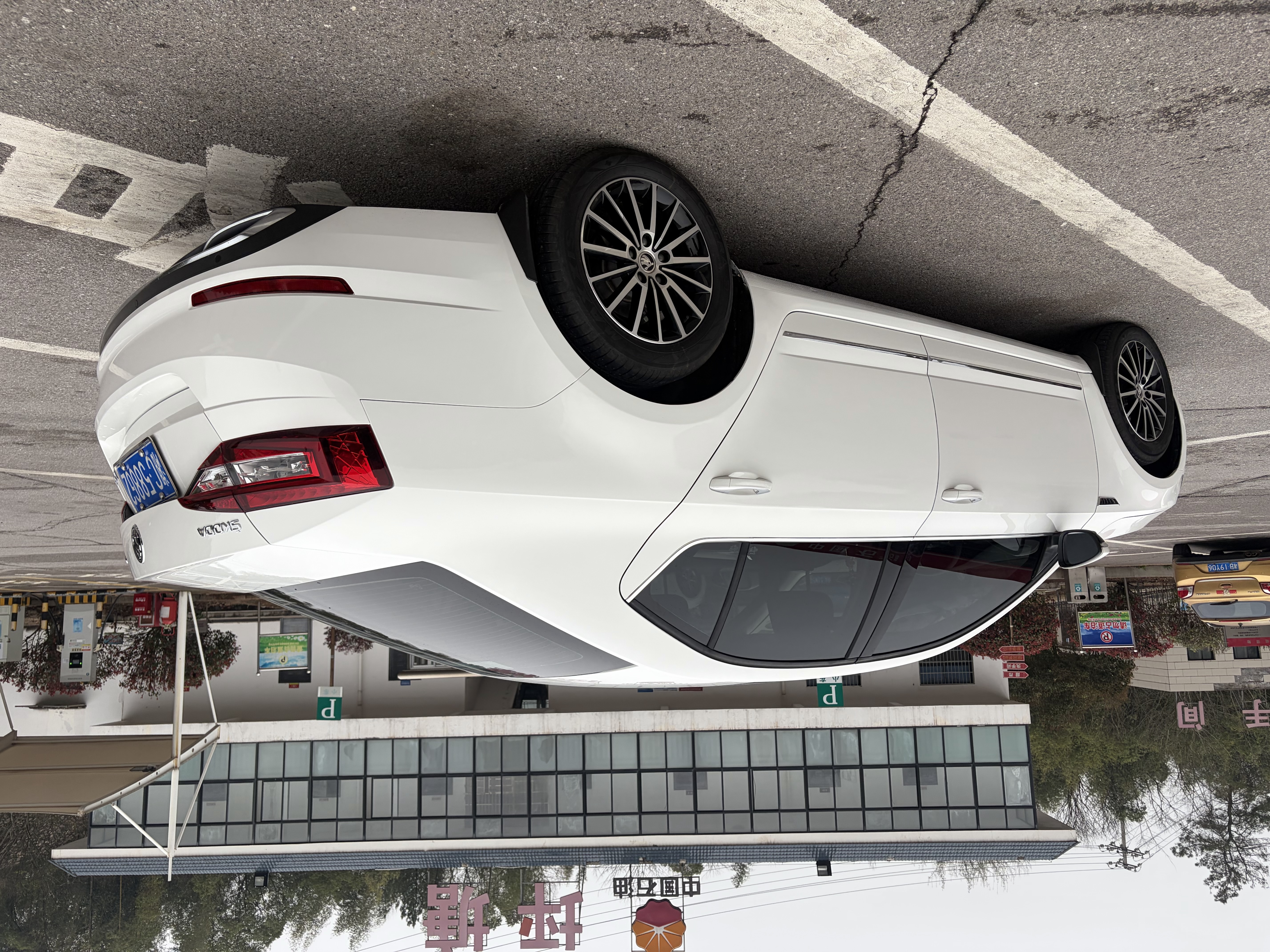 Skoda Octavia 2019 car image #8