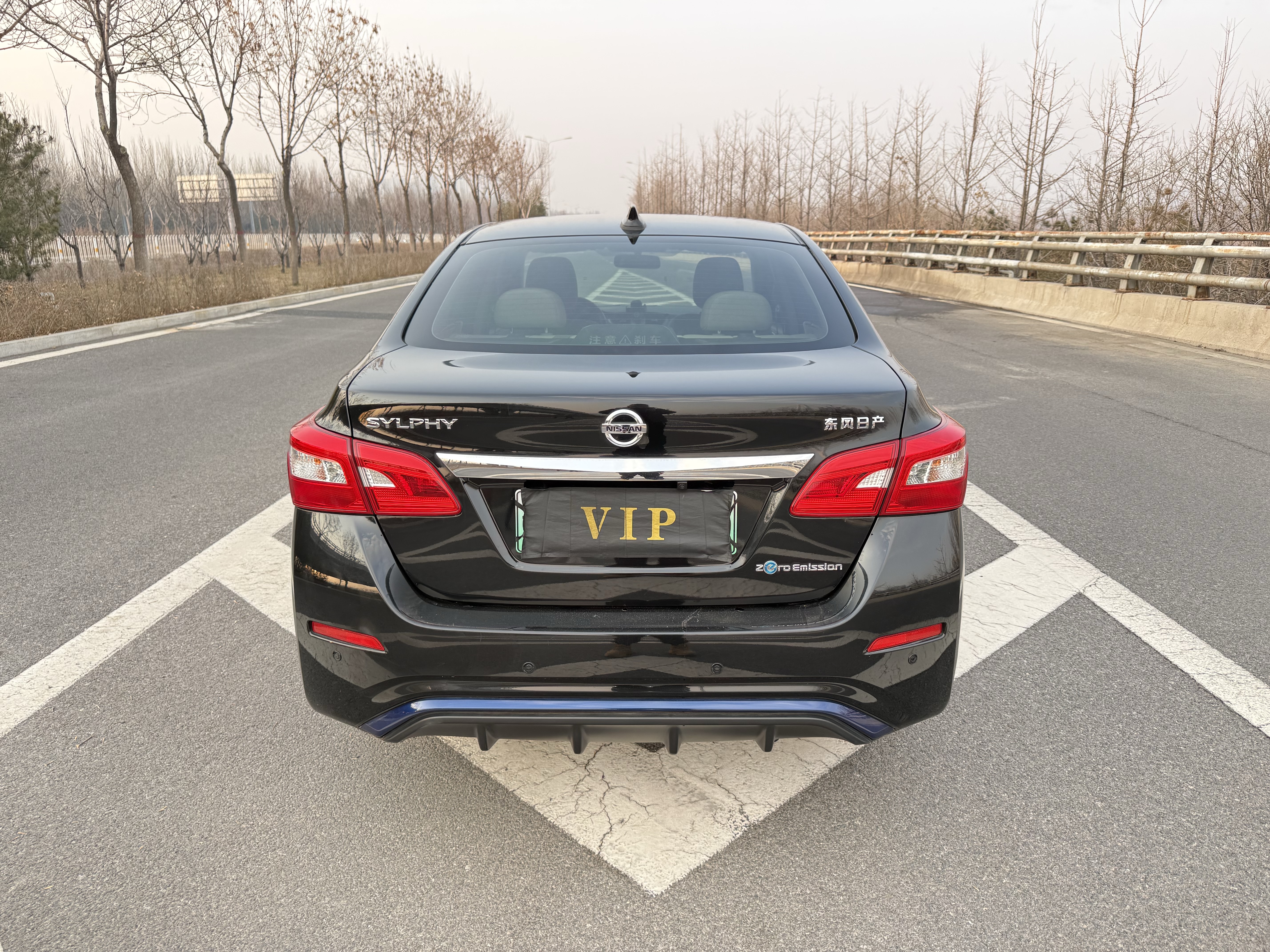 日产 轩逸·纯电 2018 汽车图片 #8