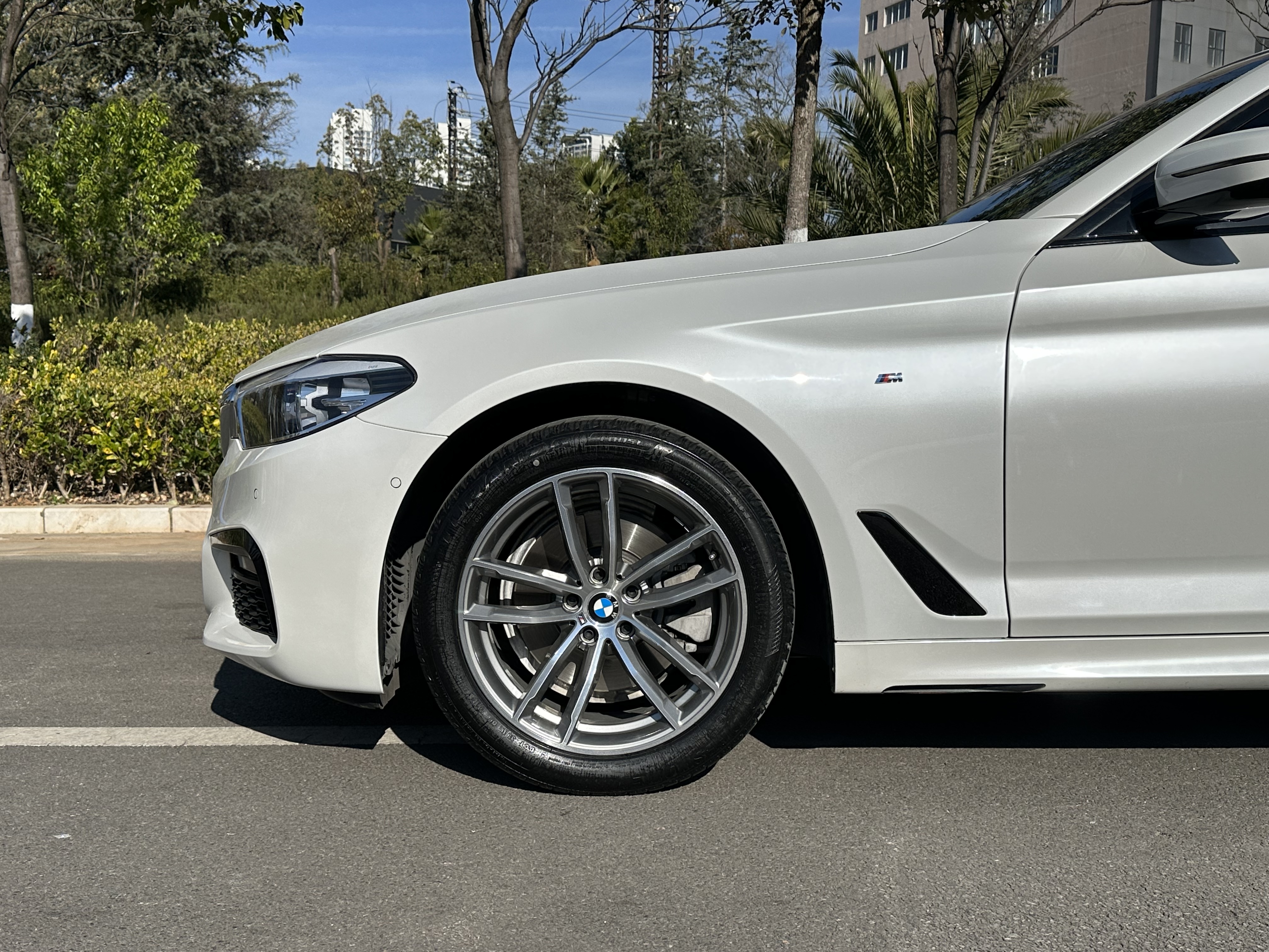 BMW 5 Series 2019 car image #8