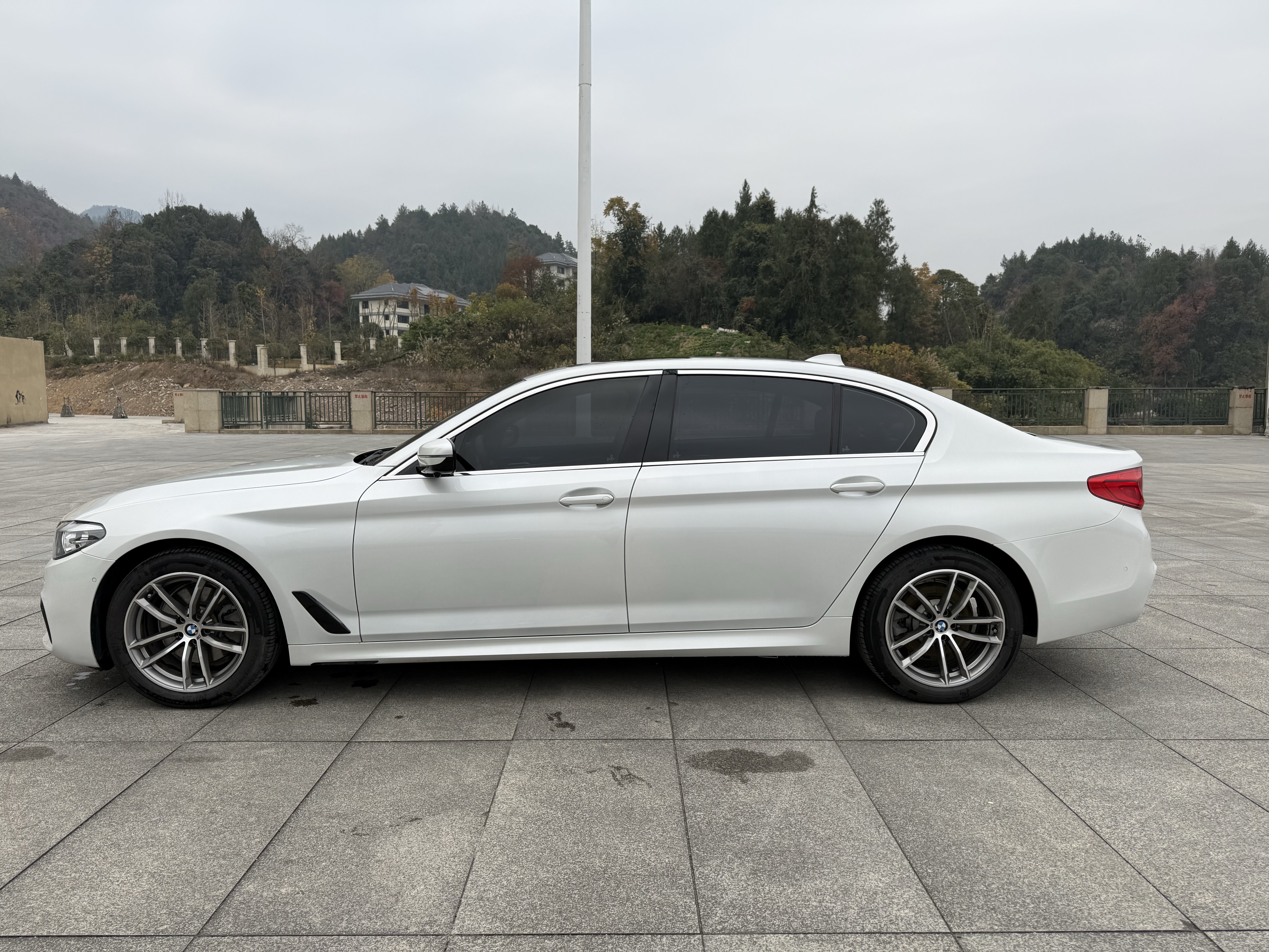 BMW 5 Series 2019 car image #8