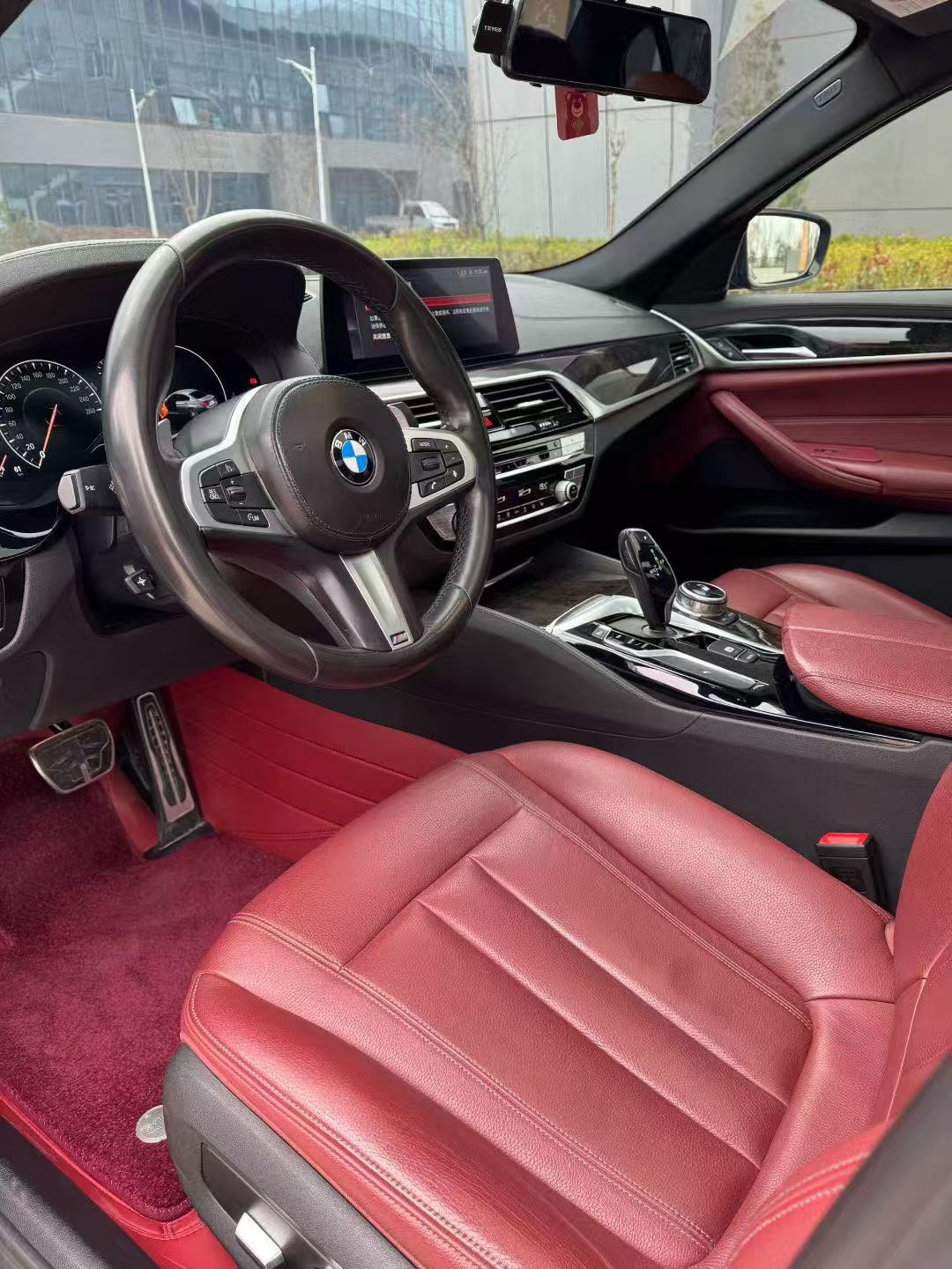 BMW 5 Series 2019 car image #8