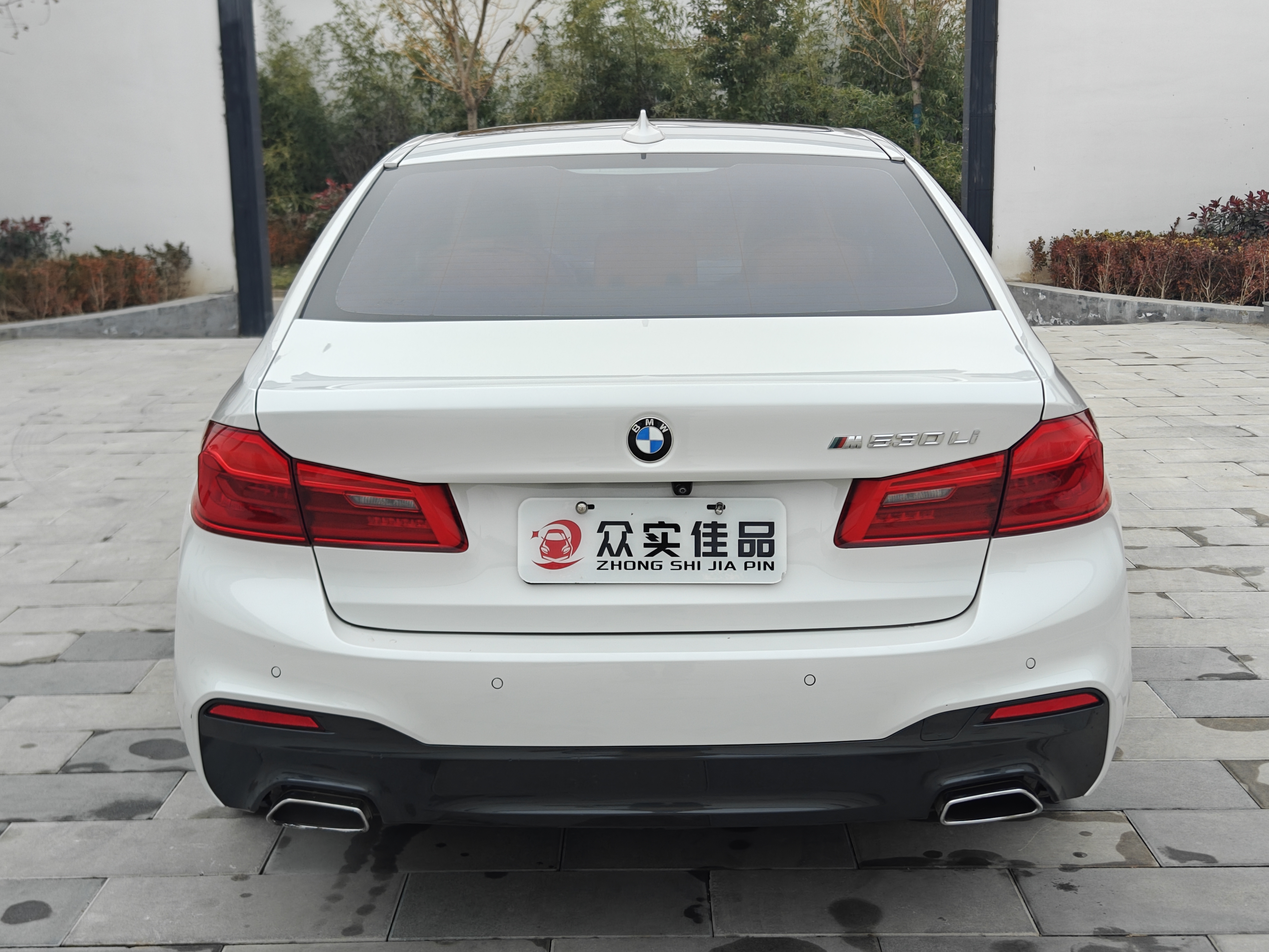 BMW 5 Series 2019 car image #8