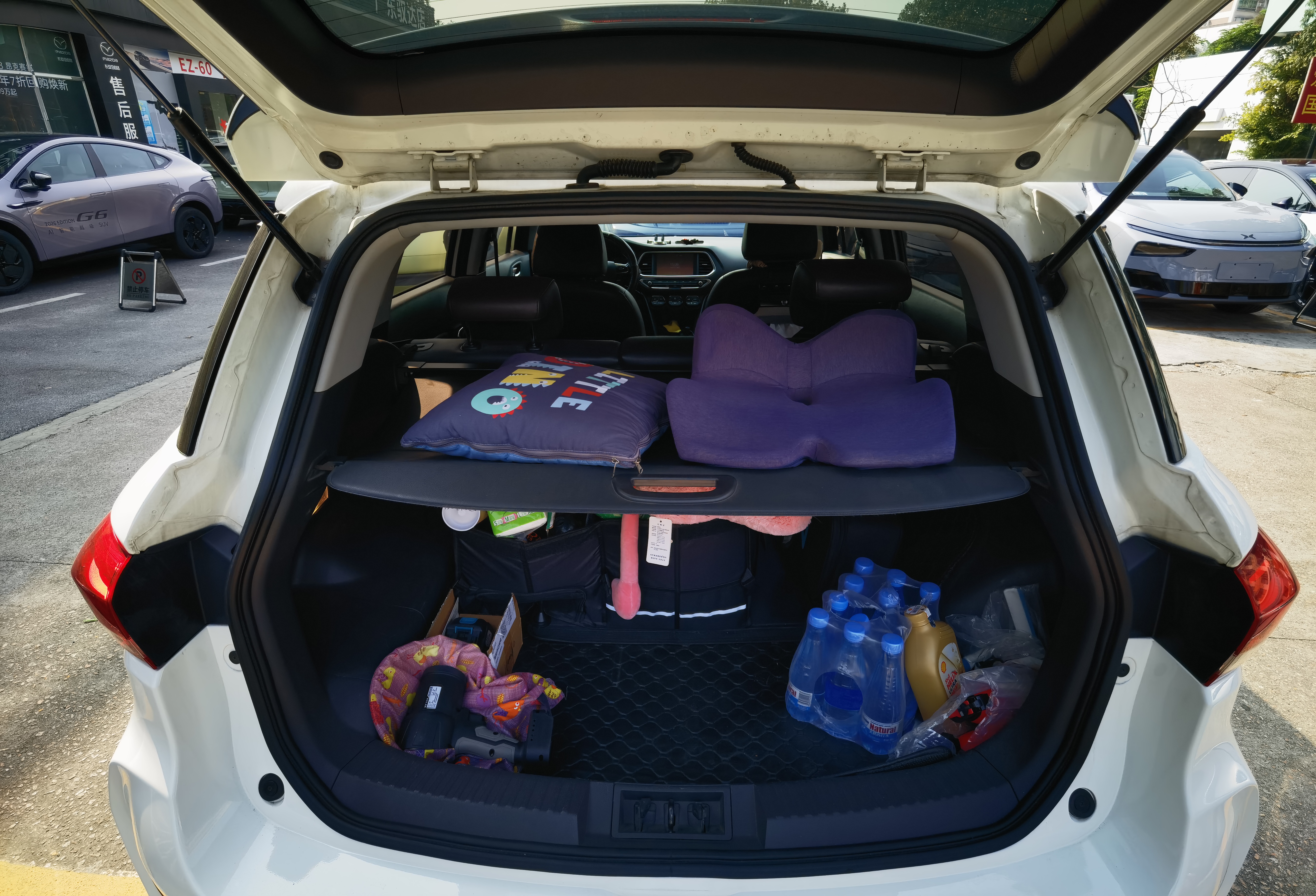 GAC Shirui PHEV 2019 car image #8