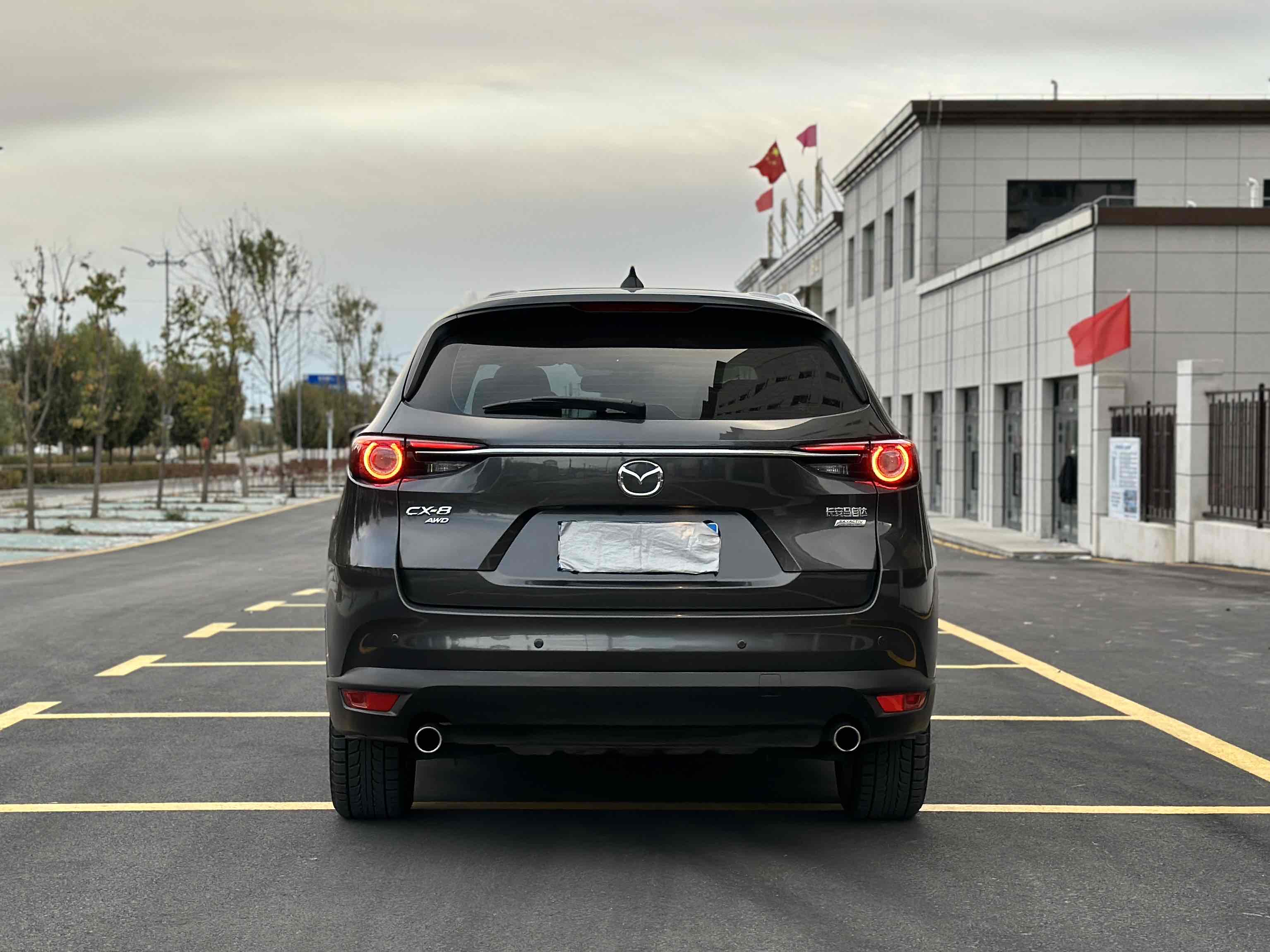 Mazda CX-8 2020 car image #8