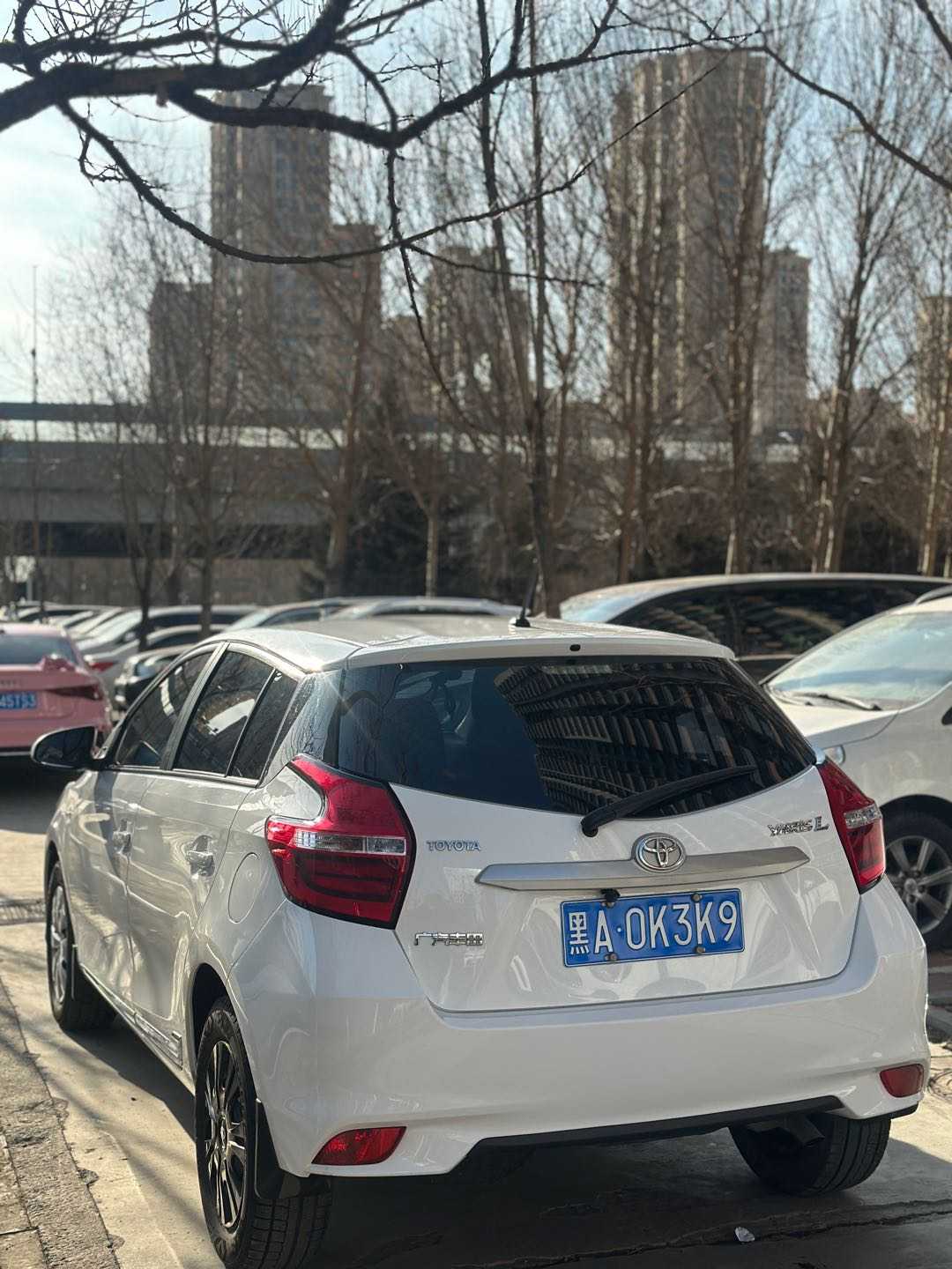 Yaris L Zhixuan 2019 #8 Yaris L Zhixuan 2019 car image #8