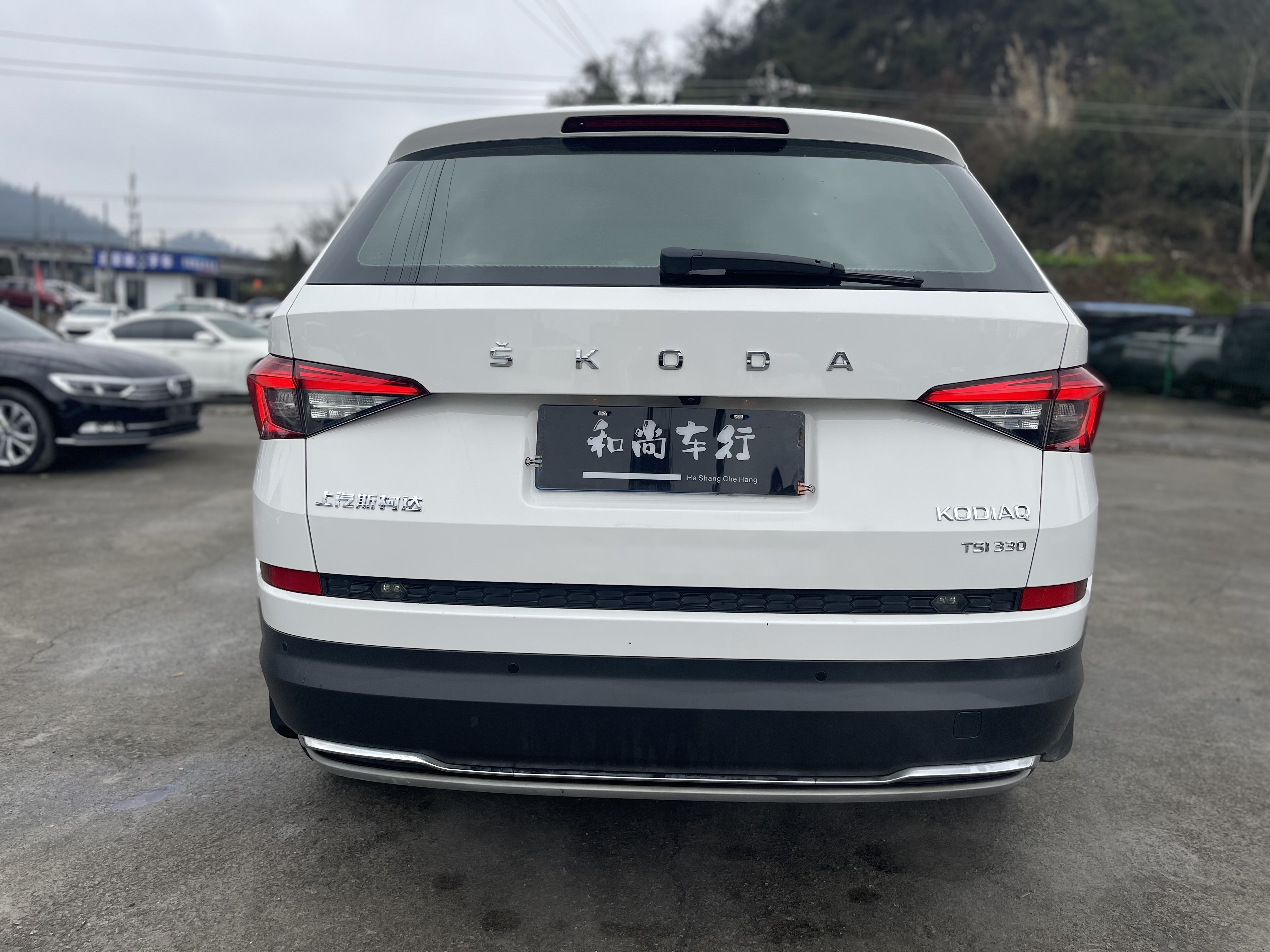 Skoda Kodiaq 2019 imagem de carro #8